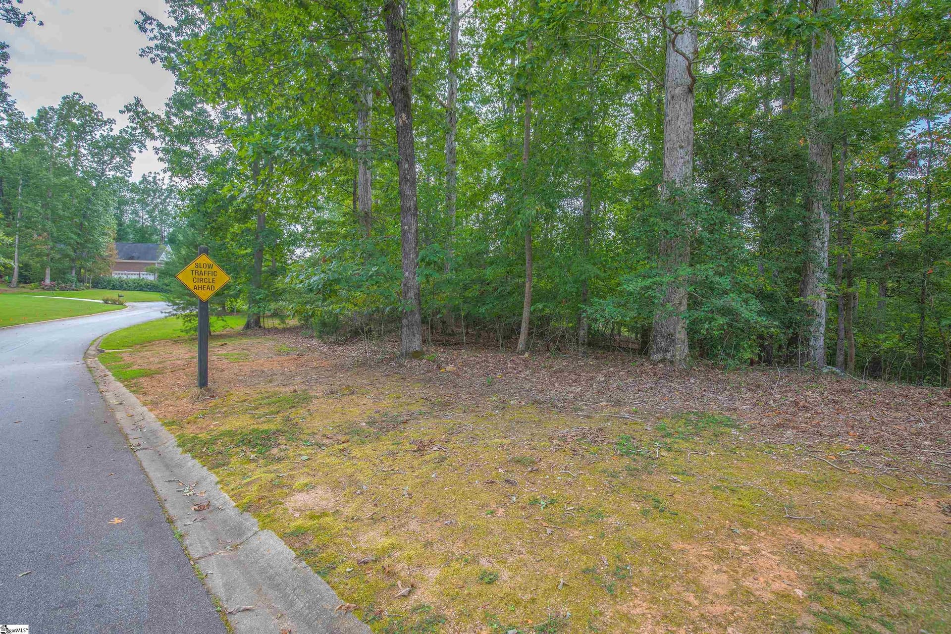 Braemor, Greenville Community