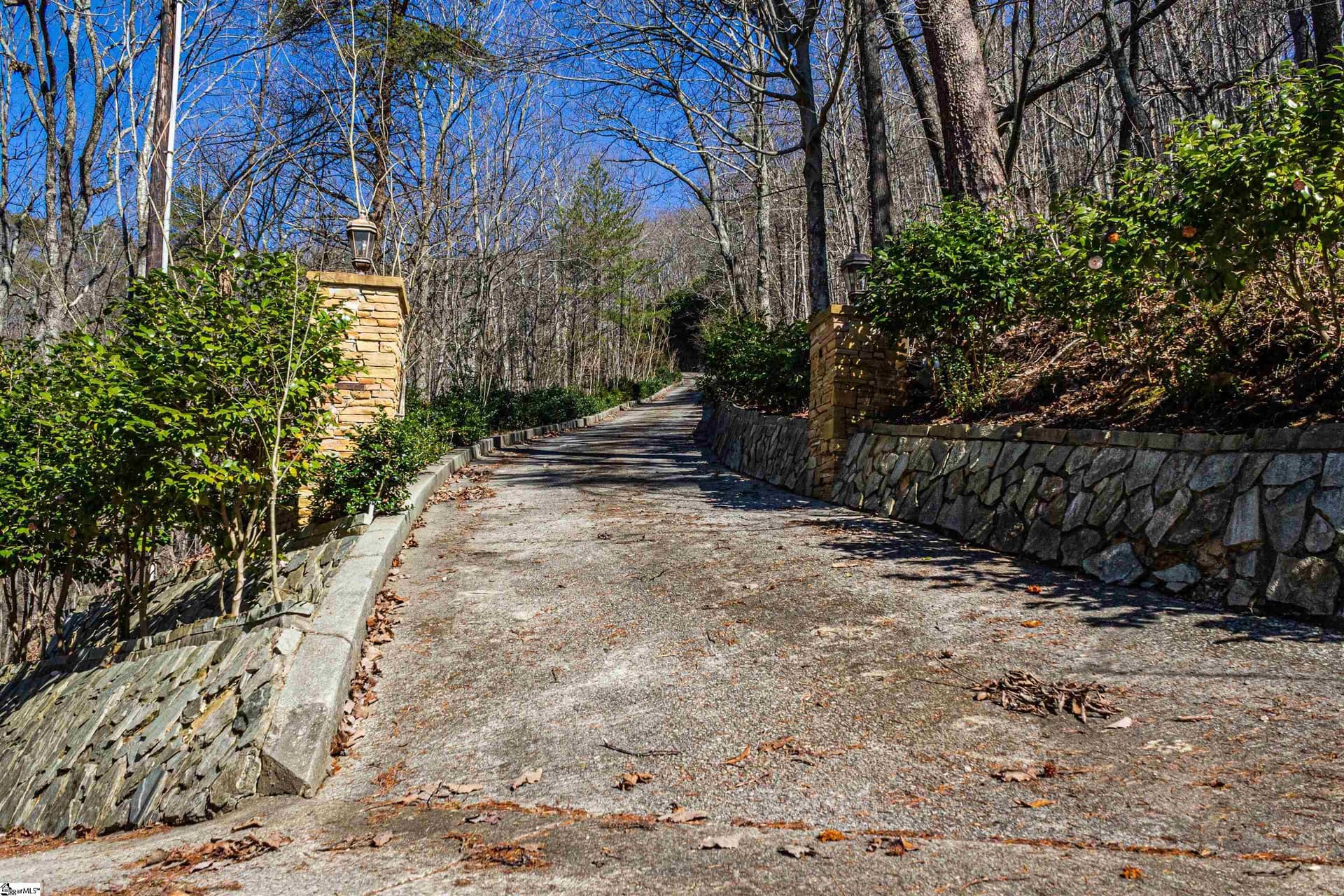 Laurel Ridge, Greenville Community