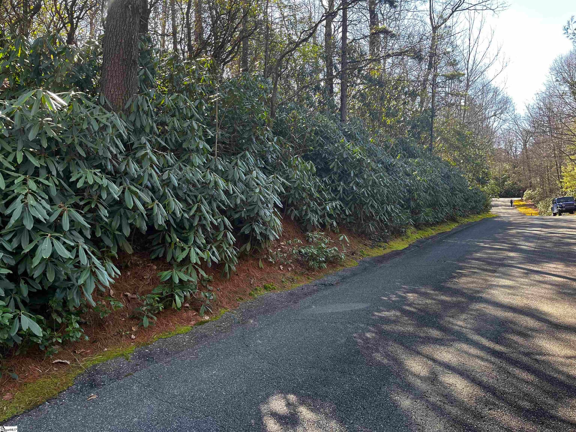 116 Hemlock Trail
