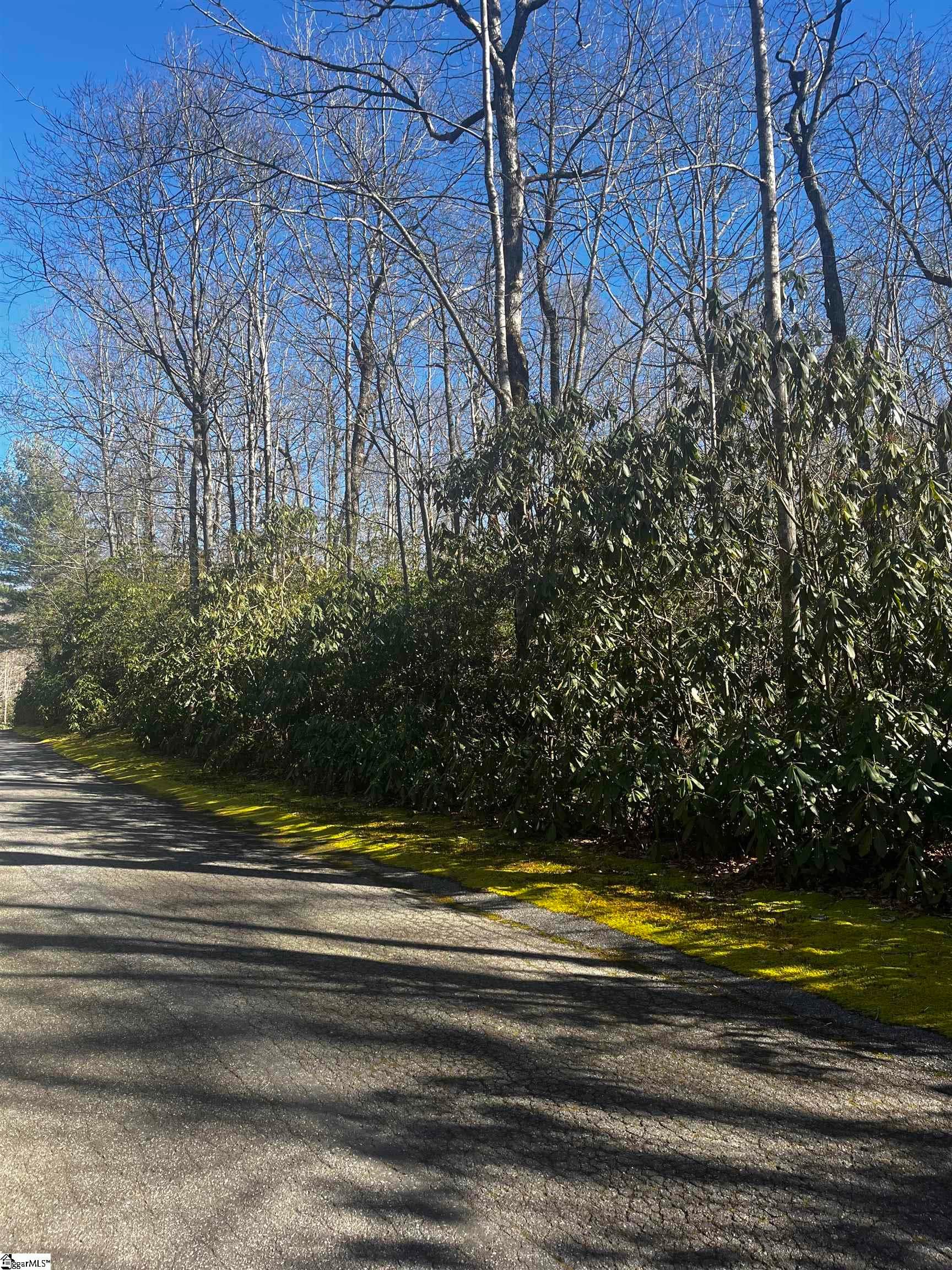 Property image 2 at 116 Hemlock Trail, Cleveland, SC 29635