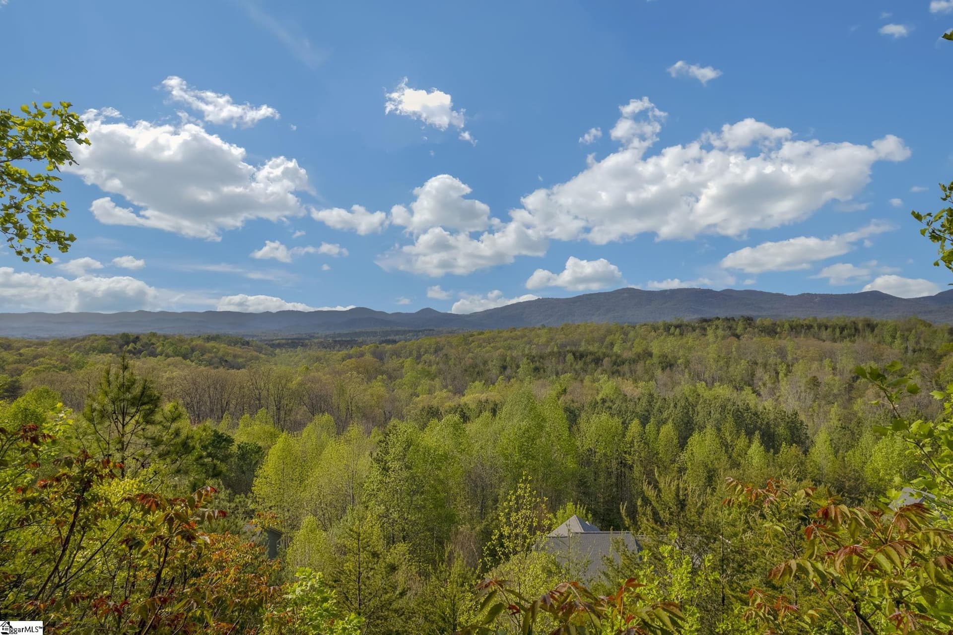 Property image 4 at 35 Packforest Road, Taylors, SC 29687