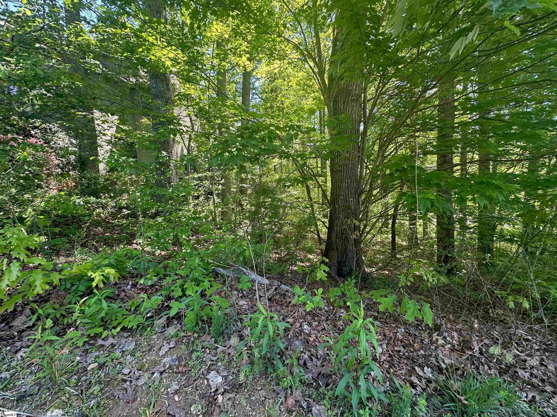 Property image 3 at 39 Timberline Drive, Travelers Rest, SC 29690