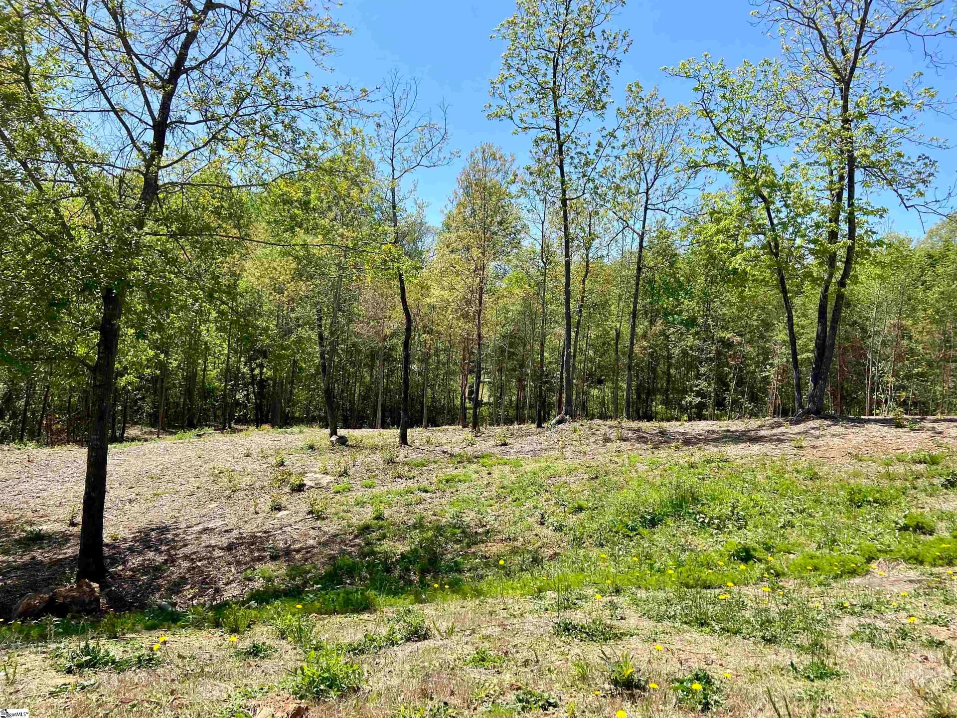 Property image 1 at 108 Pinelands Place, Travelers Rest, SC 29690