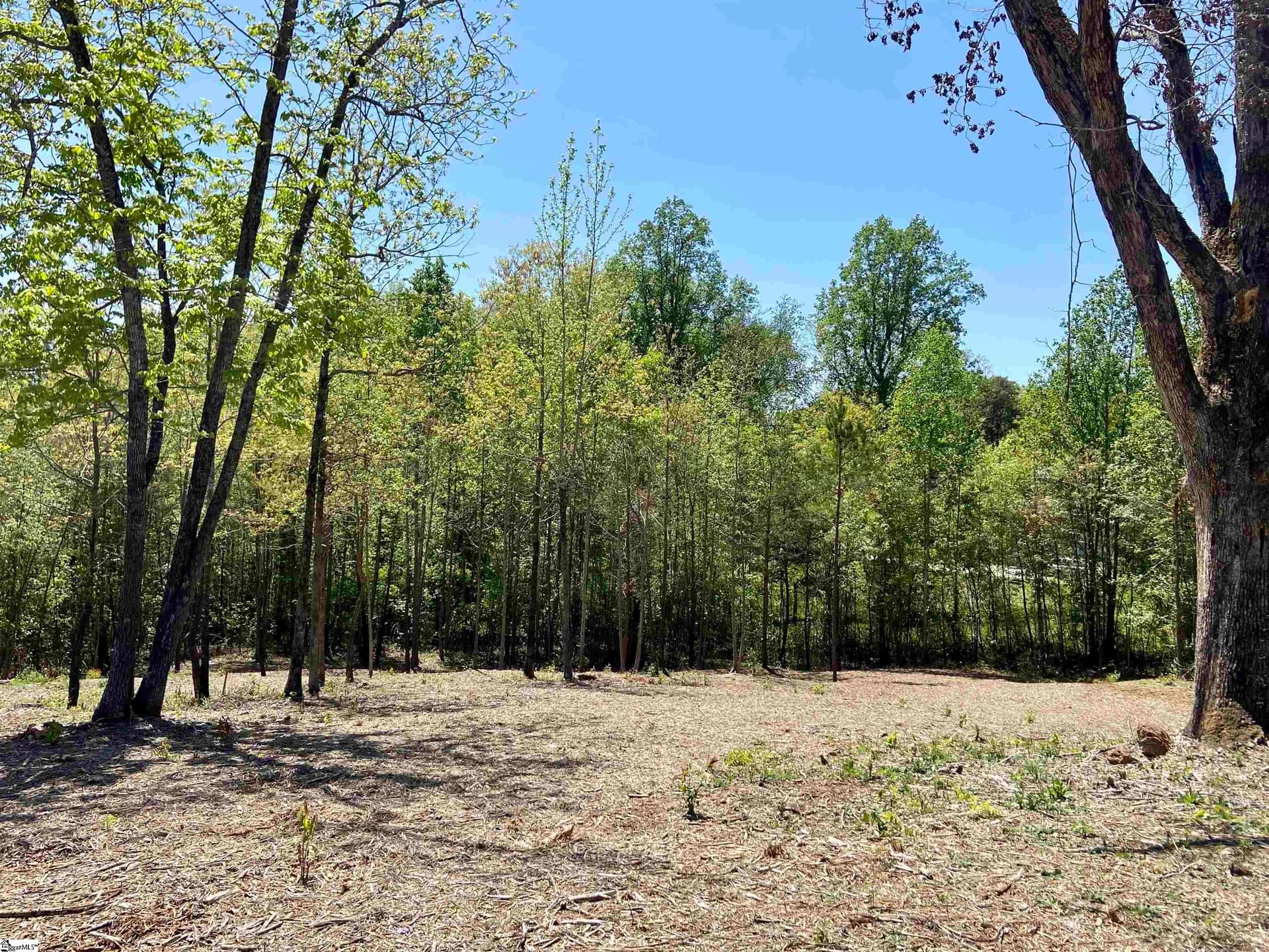 Property image 4 at 108 Pinelands Place, Travelers Rest, SC 29690