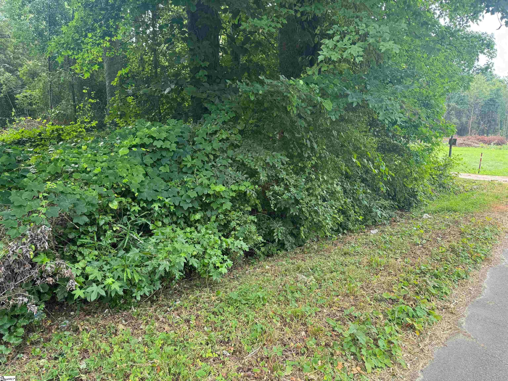 Property image 1 at 00 Chevy Chase Boulevard, Pelzer, SC 29668