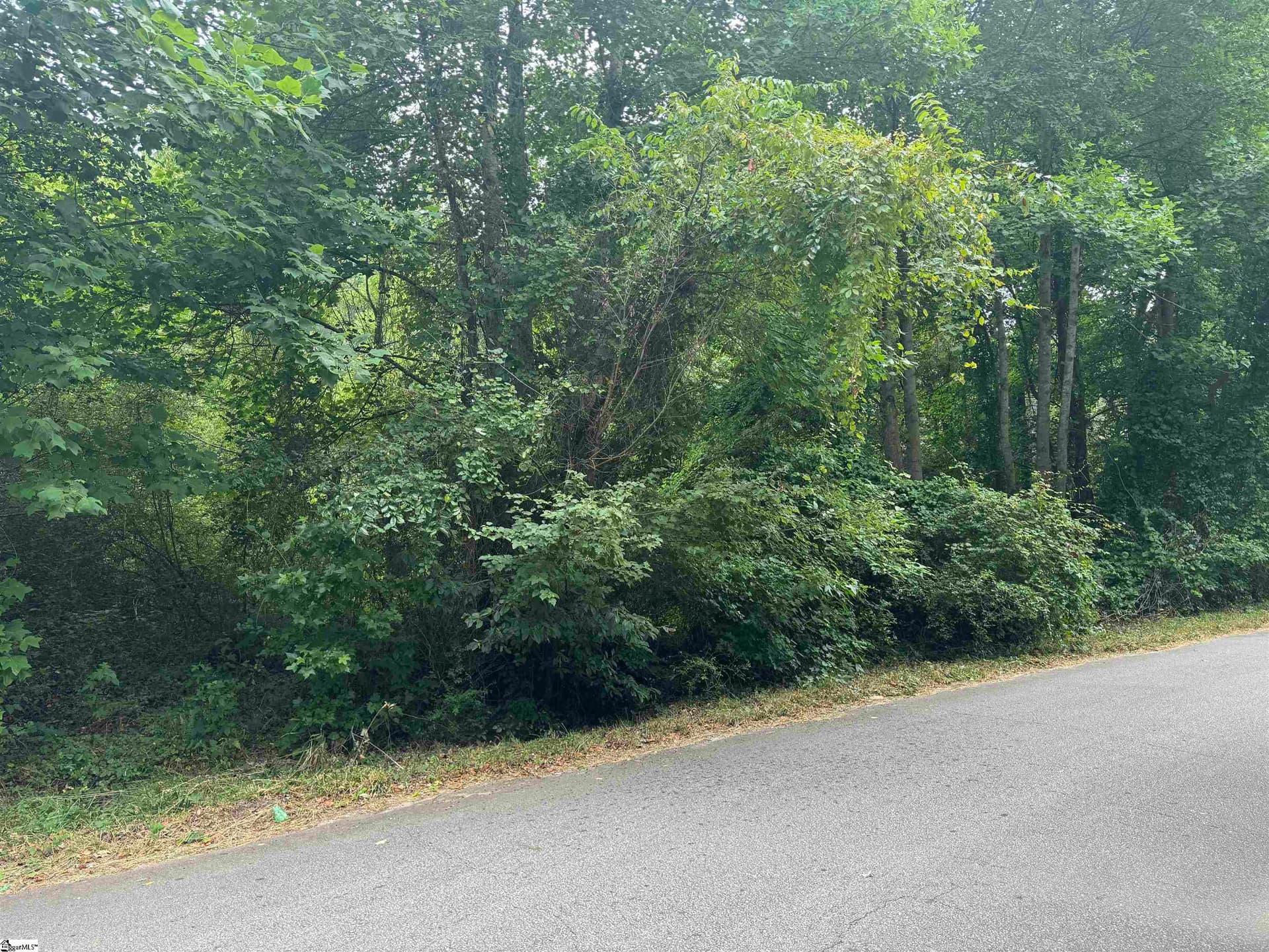 Property image 4 at 00 Chevy Chase Boulevard, Pelzer, SC 29668