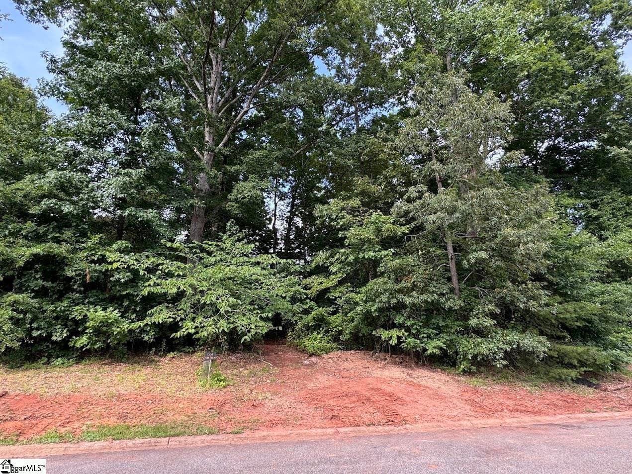 Property image 2 at 2025 Ivy Cottage Path, Boiling Springs, SC 29316