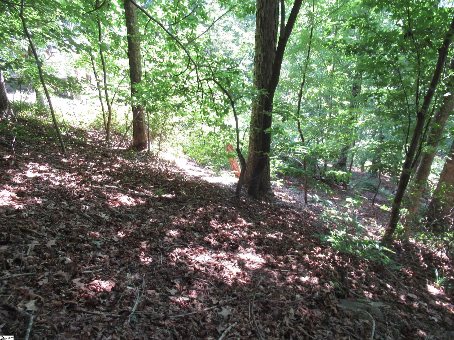 Property image 5 at 808 Whispering Falls Drive, Pickens, SC 29671