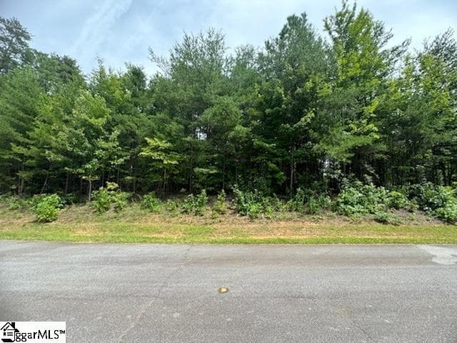 264 Jocassee Ridge Way