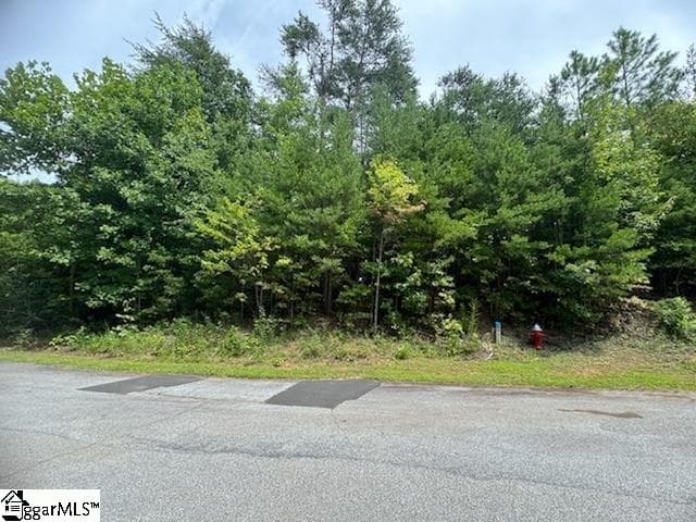 266 Jocassee Ridge Way