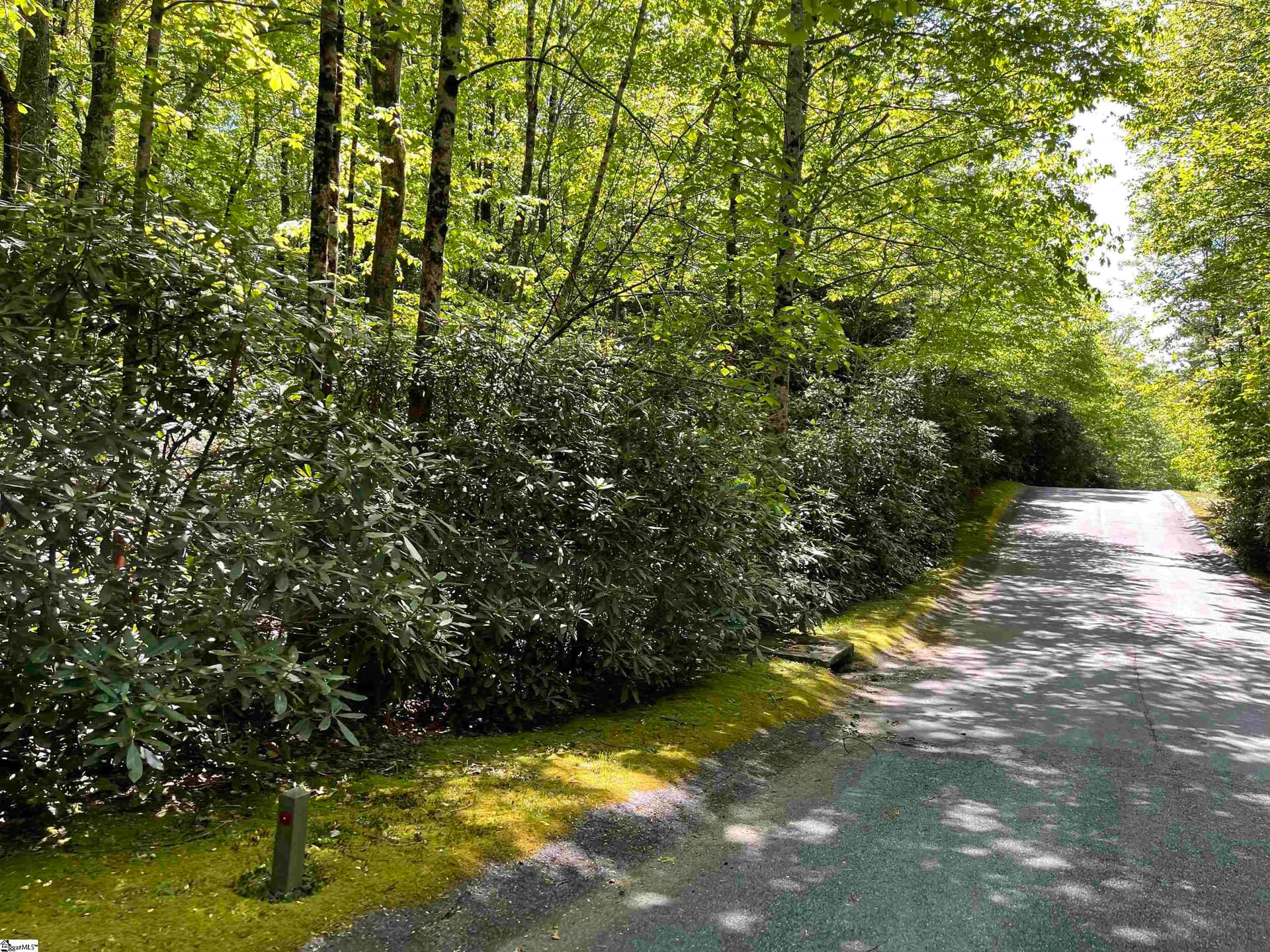 Property image 2 at 127 Conifer Falls Road, Cleveland, SC 29635