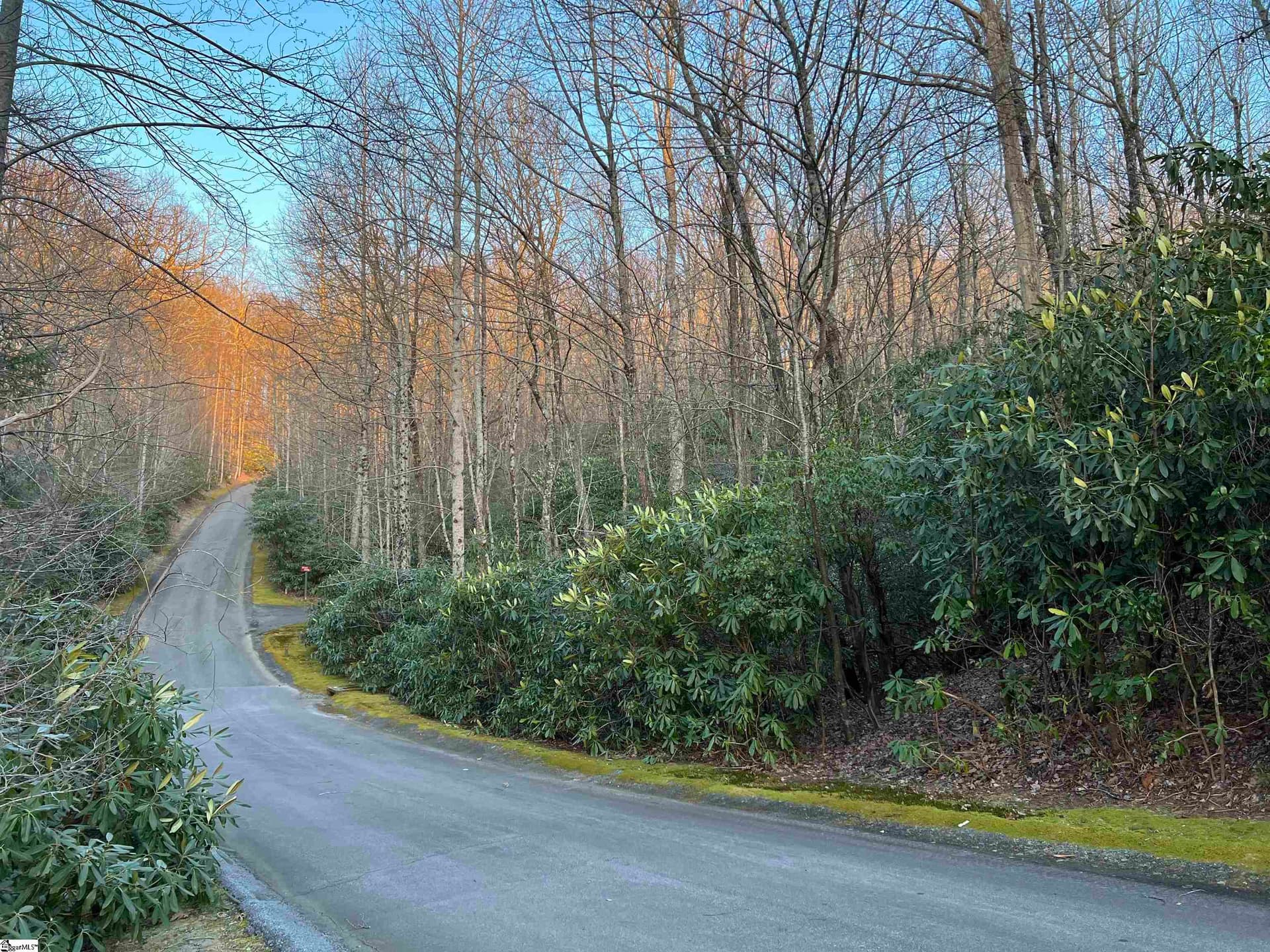 Property image 3 at 127 Conifer Falls Road, Cleveland, SC 29635