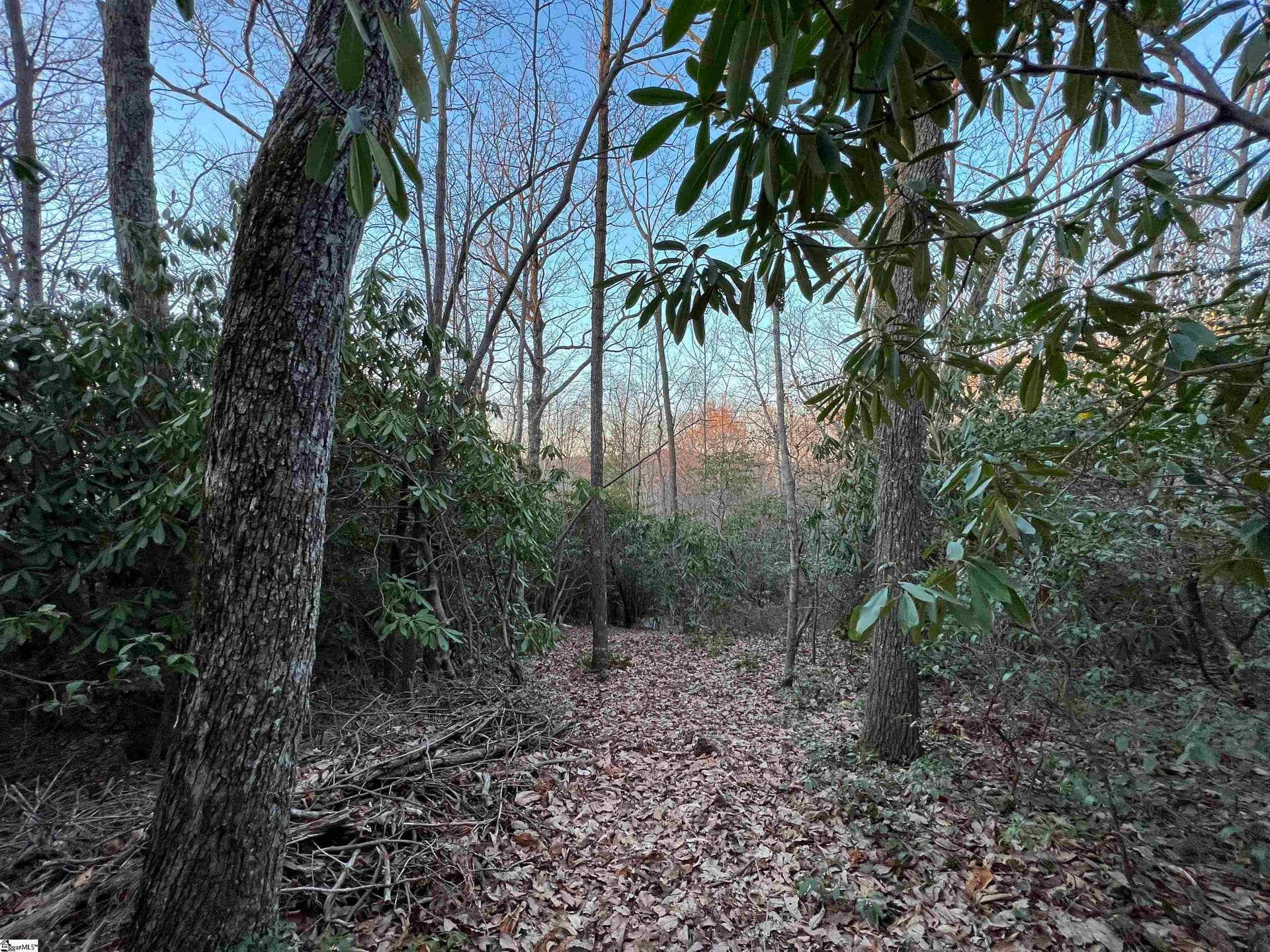 Property image 4 at 127 Conifer Falls Road, Cleveland, SC 29635