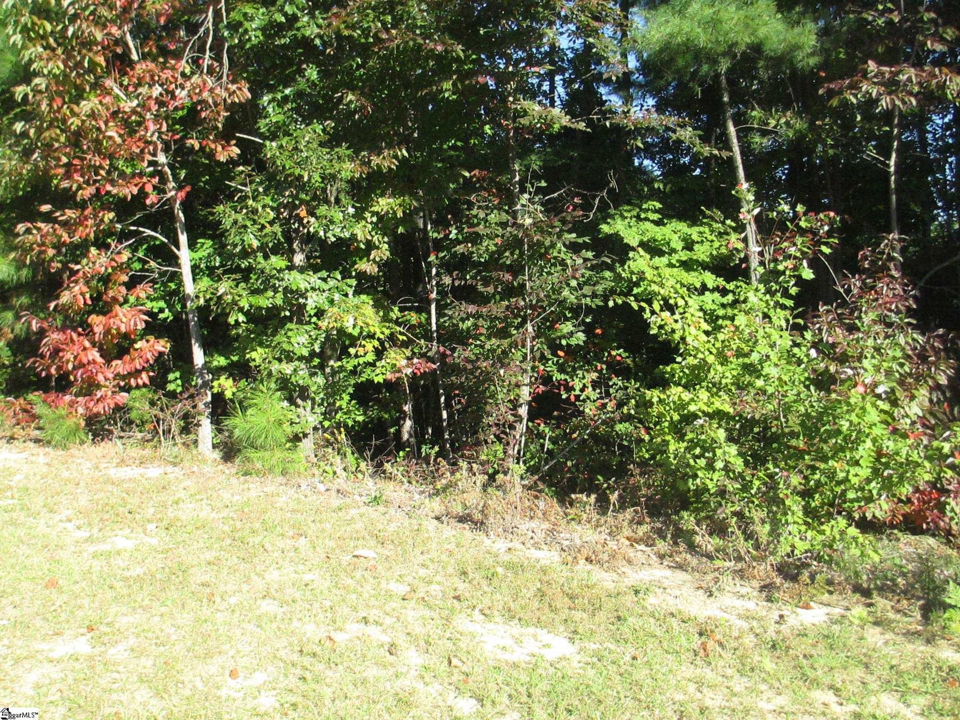 Jocassee Ridge Way