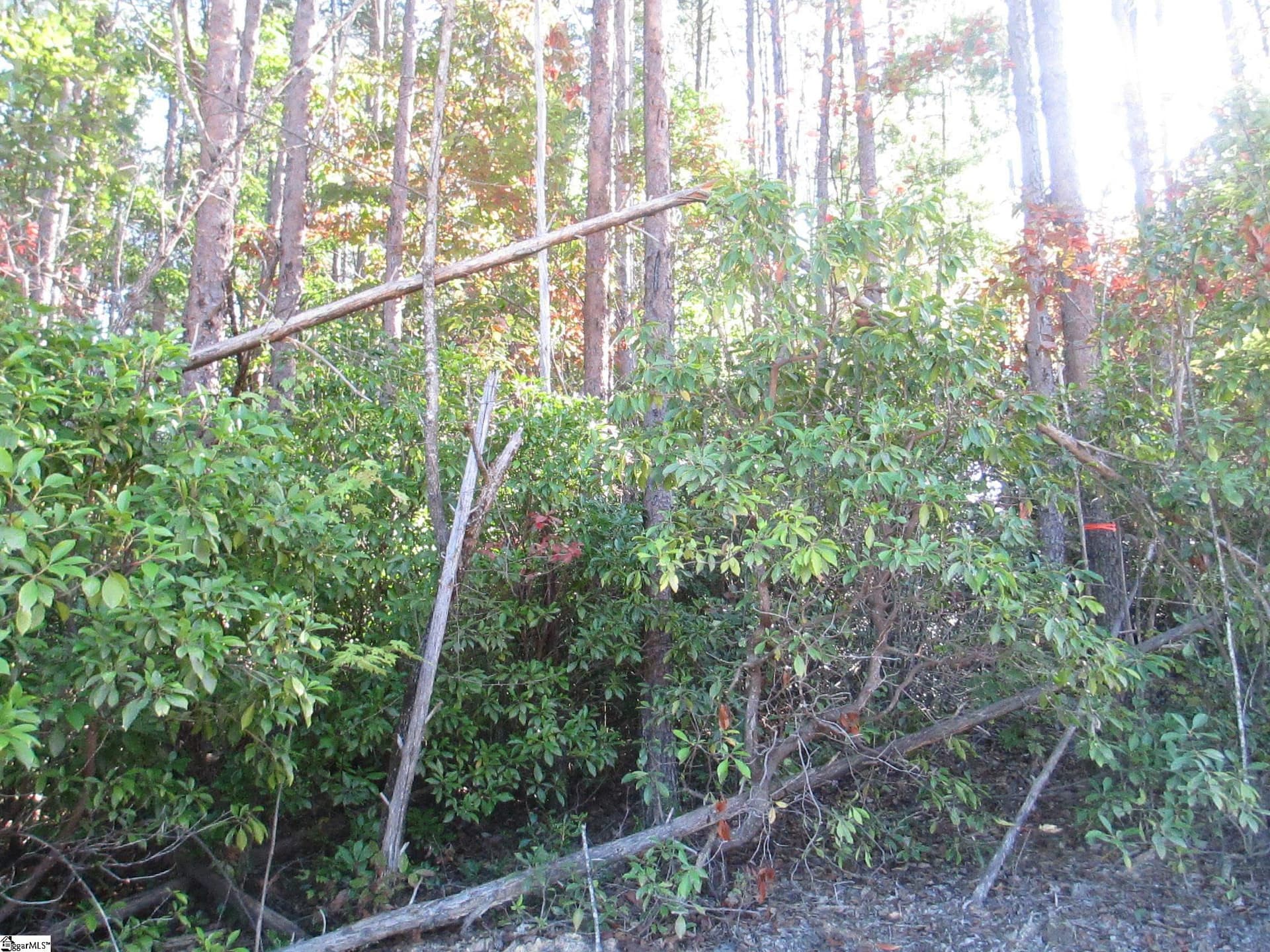 Property image 5 at Jocassee Ridge Way, Salem, SC 29676