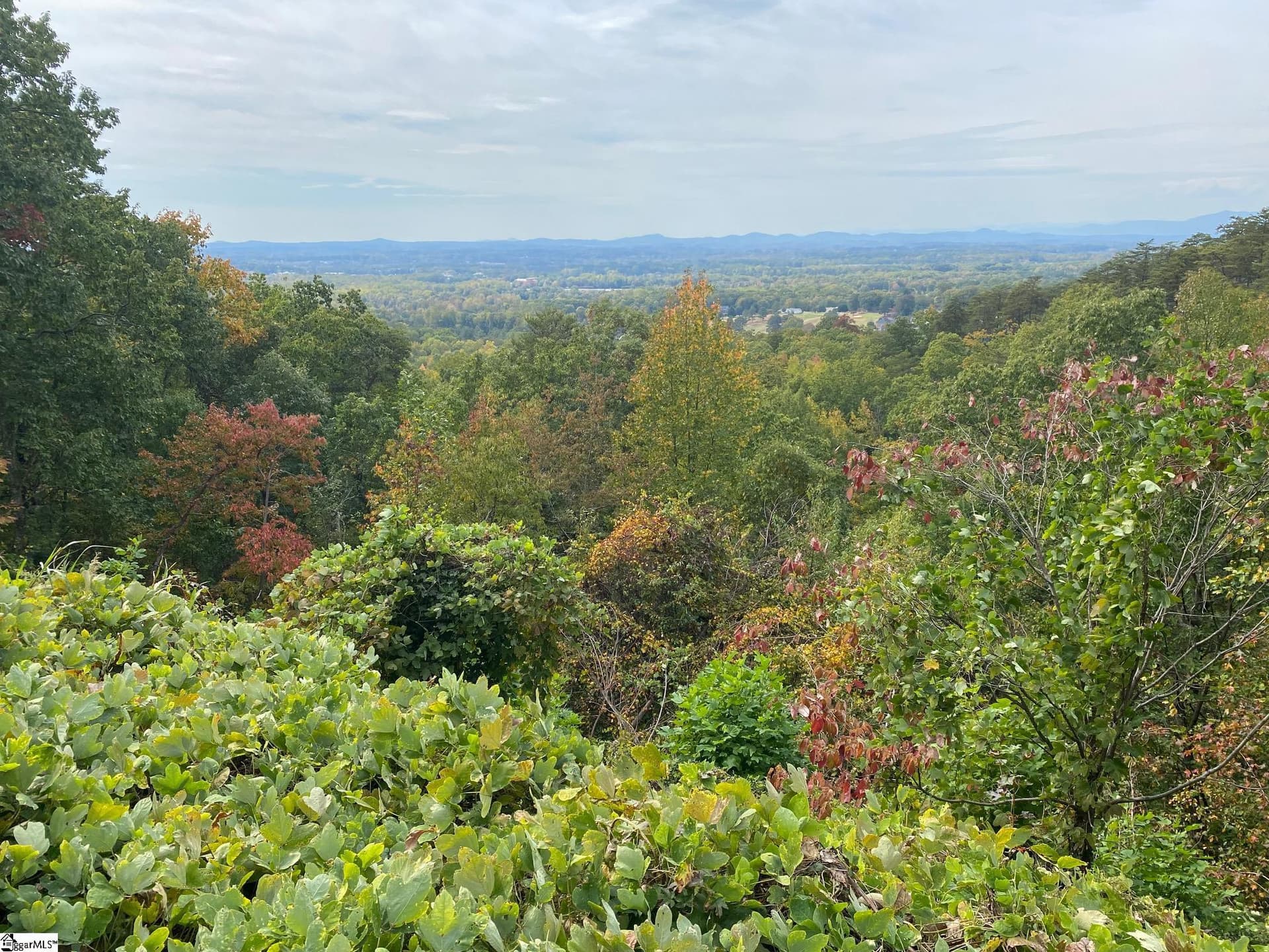 Property image 4 at 0 Laurel Ridge Road, Greenville, SC 29609