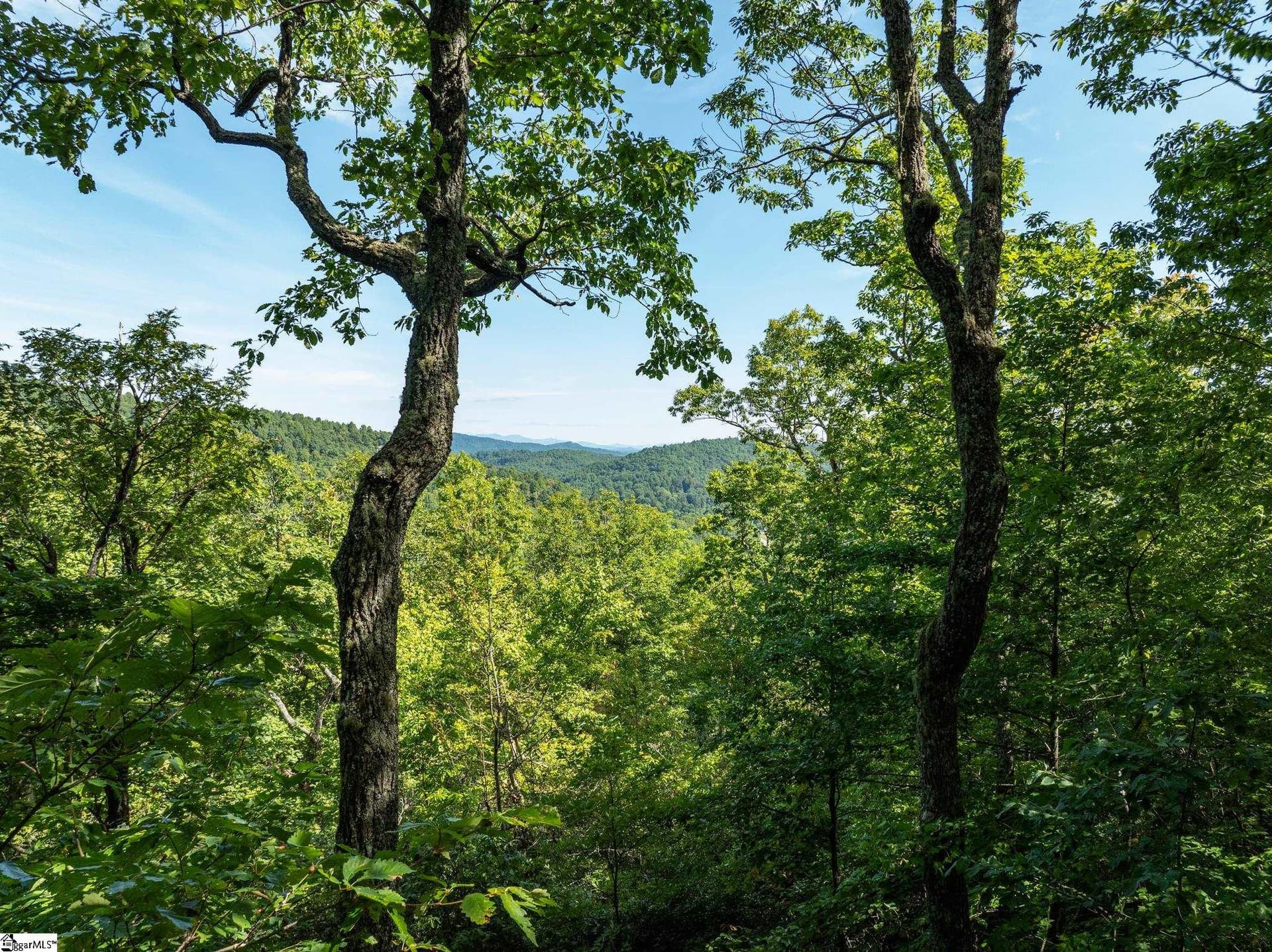 Property image 2 at 0 Panther Mountain Road, Zirconia, NC 28790