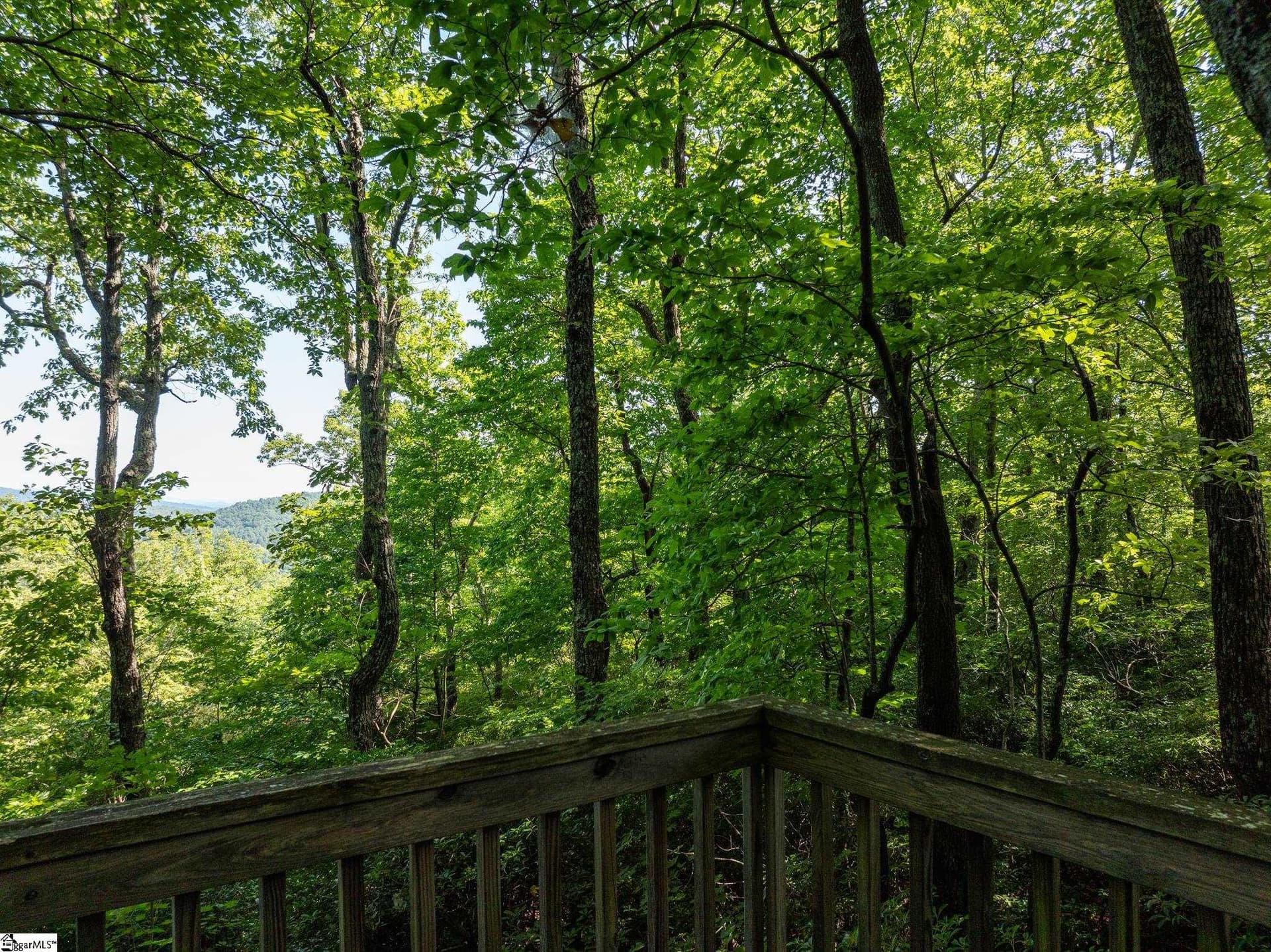 Property image 4 at 0 Panther Mountain Road, Zirconia, NC 28790