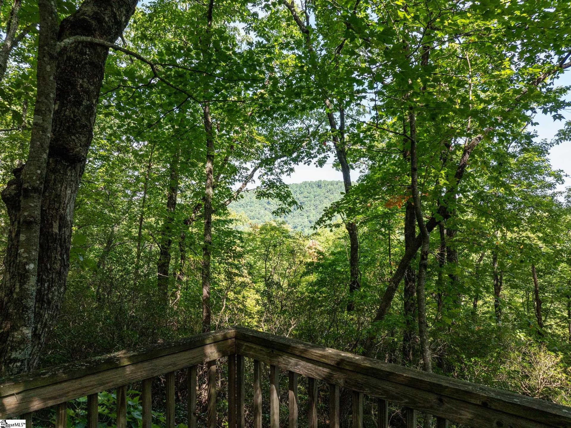 Property image 5 at 0 Panther Mountain Road, Zirconia, NC 28790
