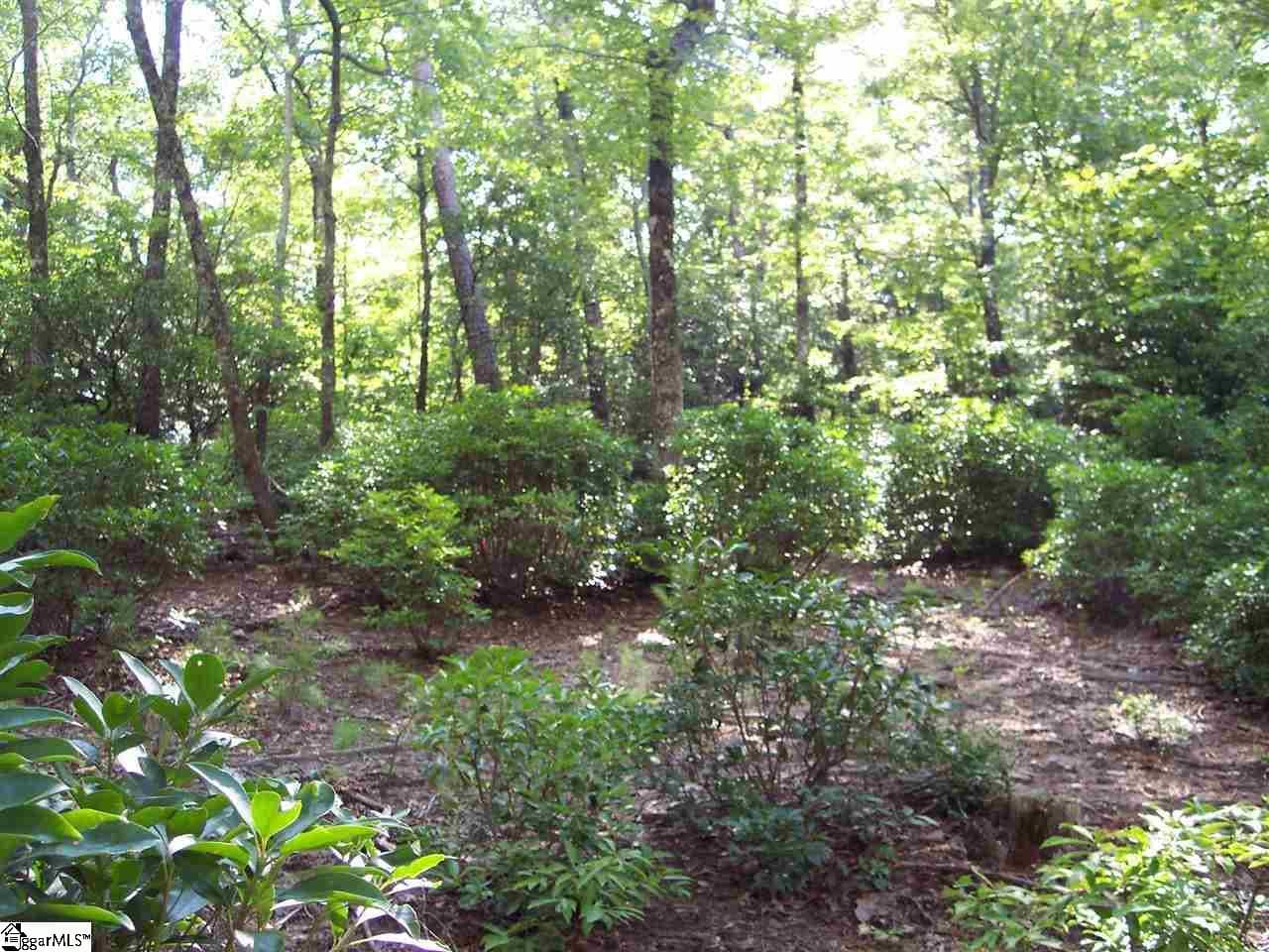 Property image 3 at 8 Woods Pond Cr Woods Pond Court, Cleveland, SC 29635