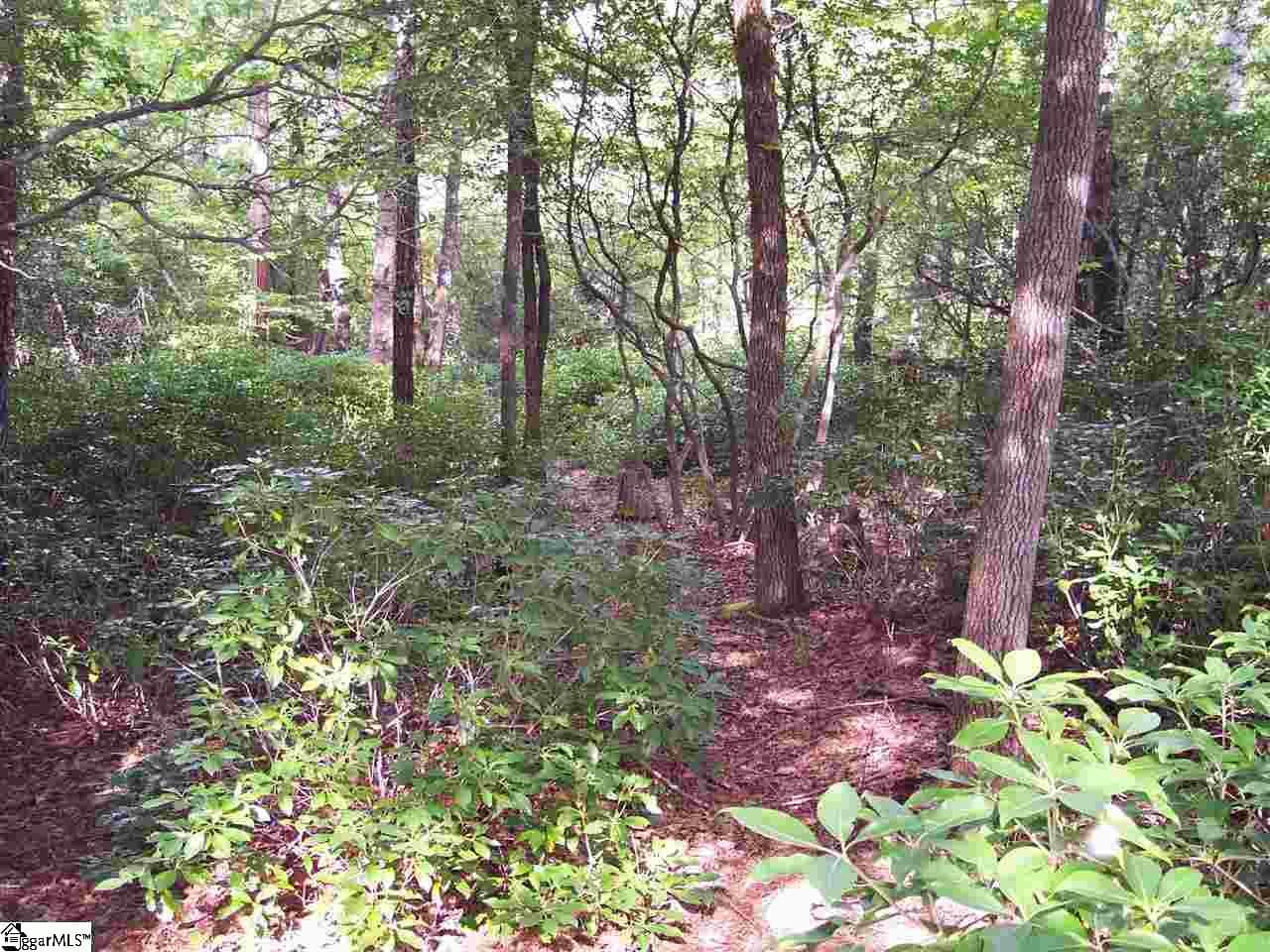Property image 5 at 8 Woods Pond Cr Woods Pond Court, Cleveland, SC 29635