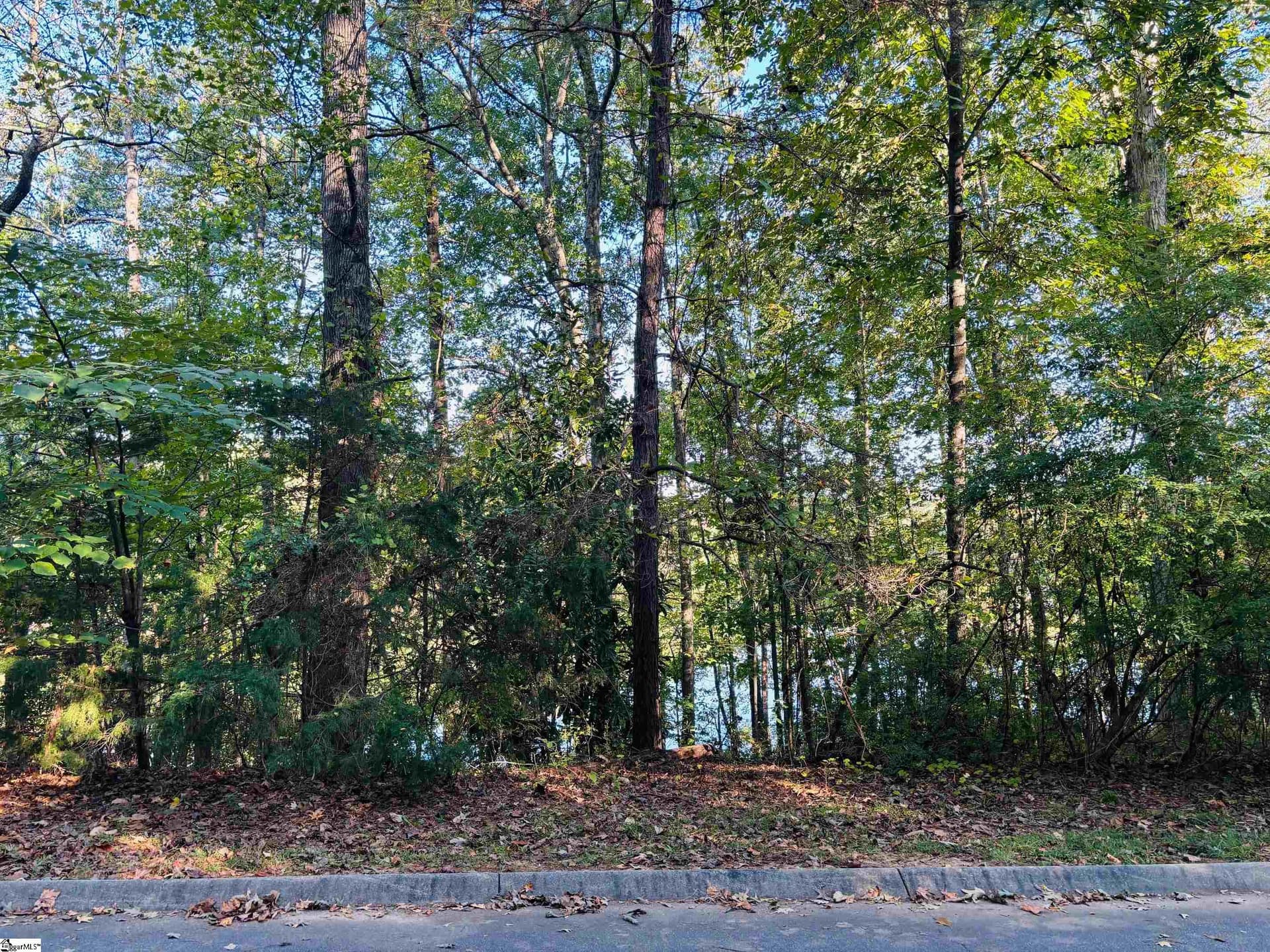 Property image 1 at 15106 Beacon Ridge Drive, Seneca, SC 29678