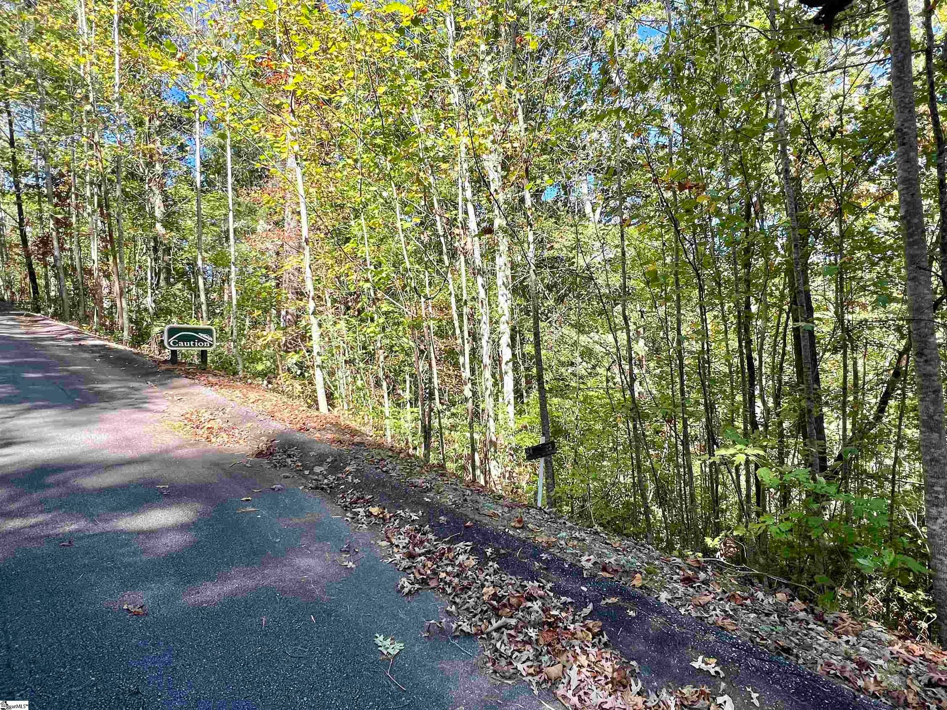 Property image 3 at 120 Falcon Crest Way, Pickens, SC 29671