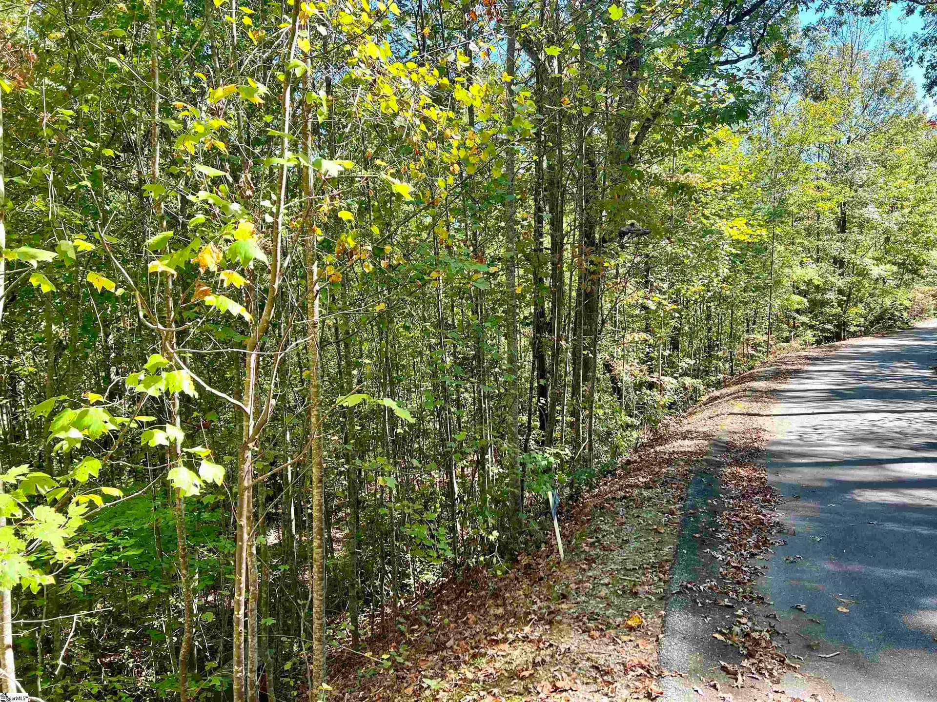 Property image 2 at 124 Falcon Crest Way, Pickens, SC 29671