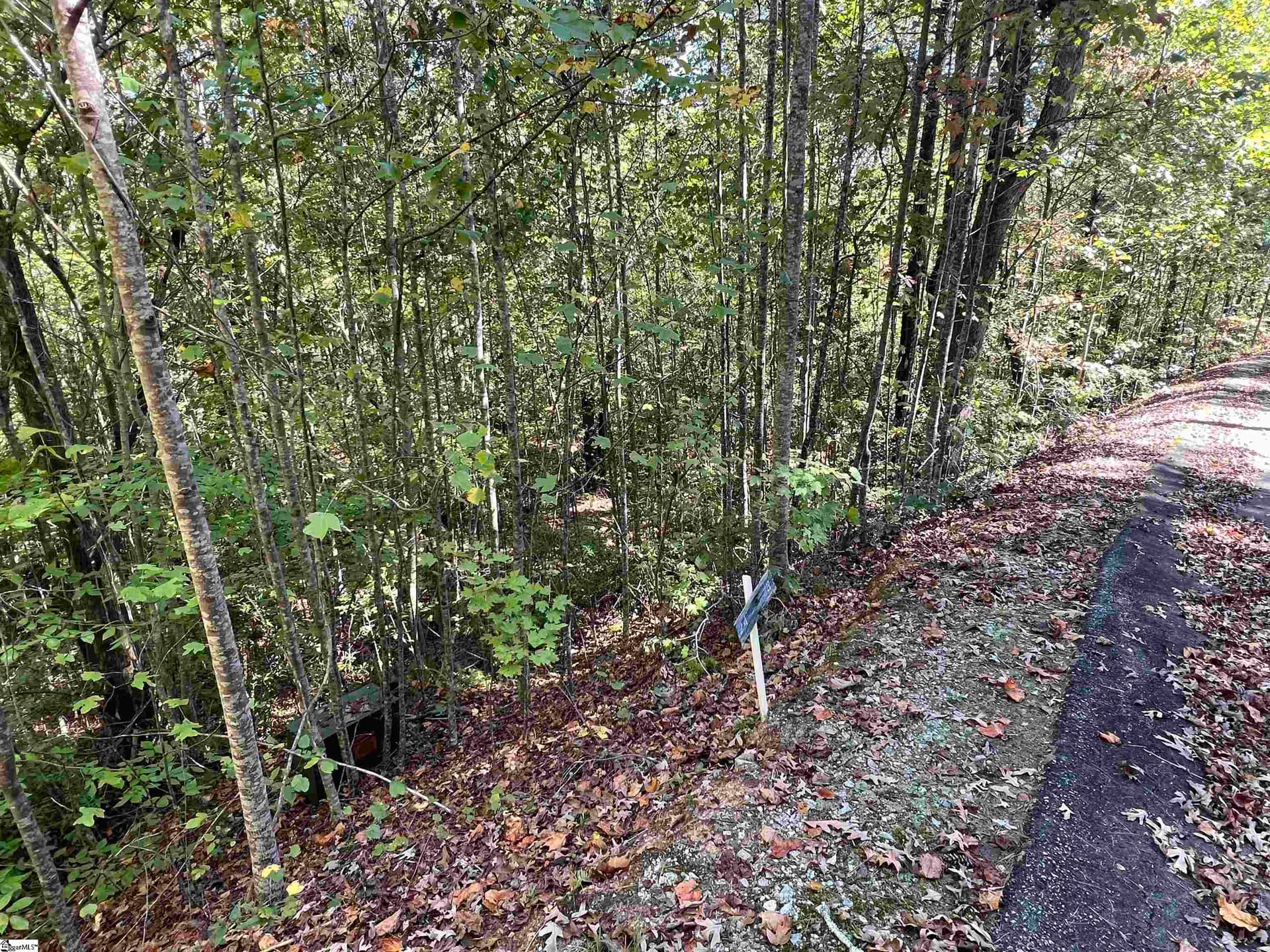 Property image 4 at 124 Falcon Crest Way, Pickens, SC 29671