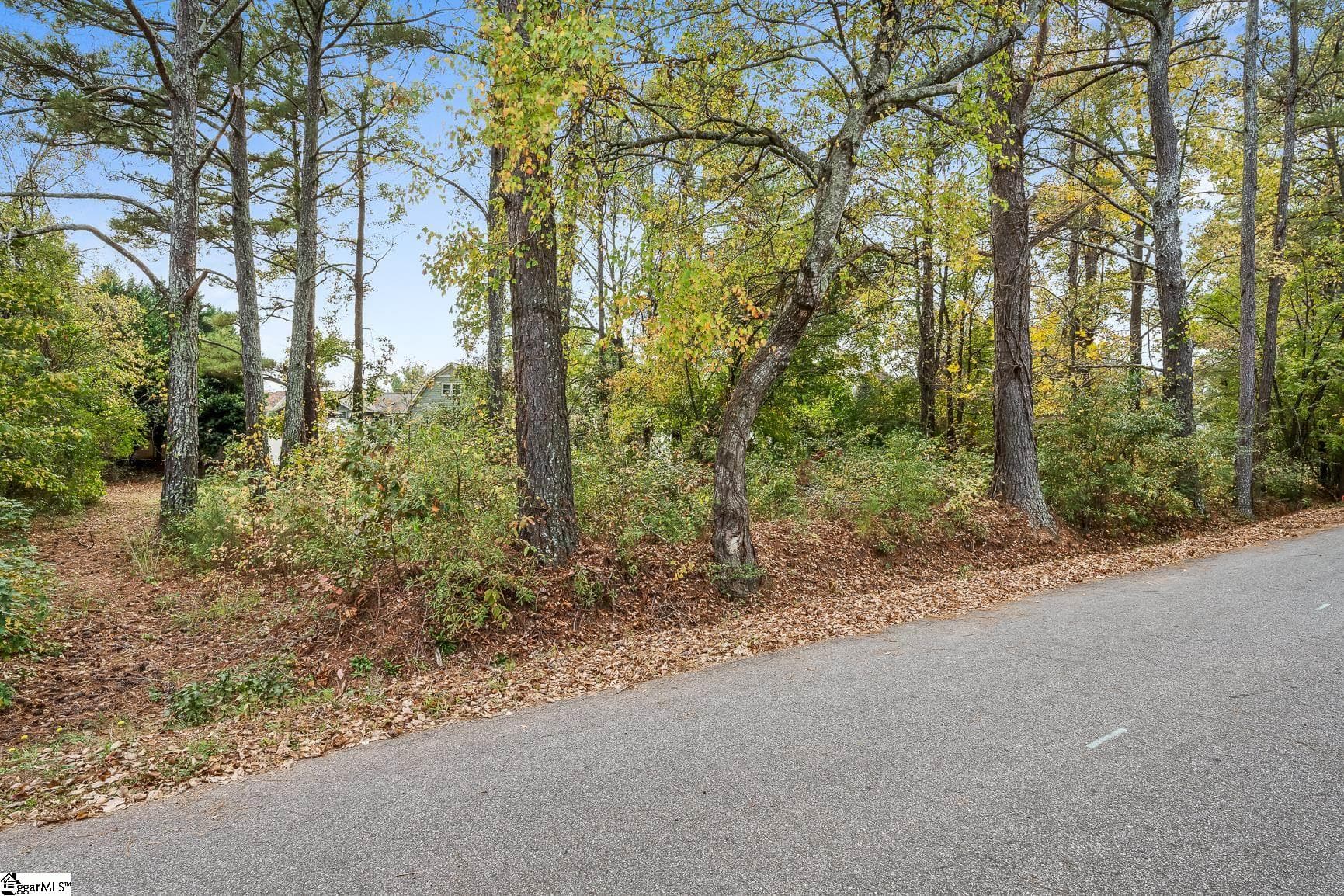 Property image 5 at 00 Warriors Path, Anderson, SC 29621