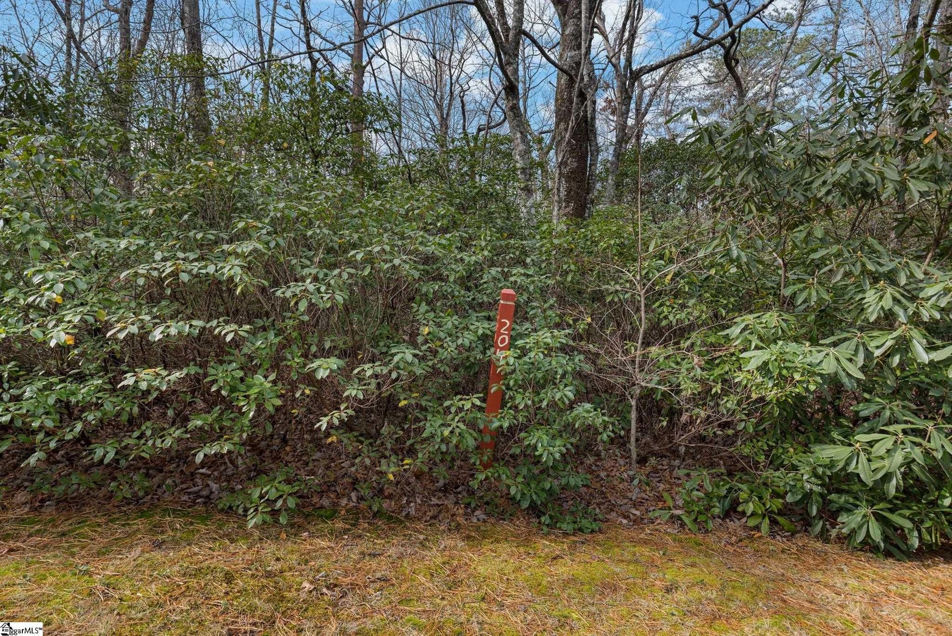 00 Conifer Falls Road