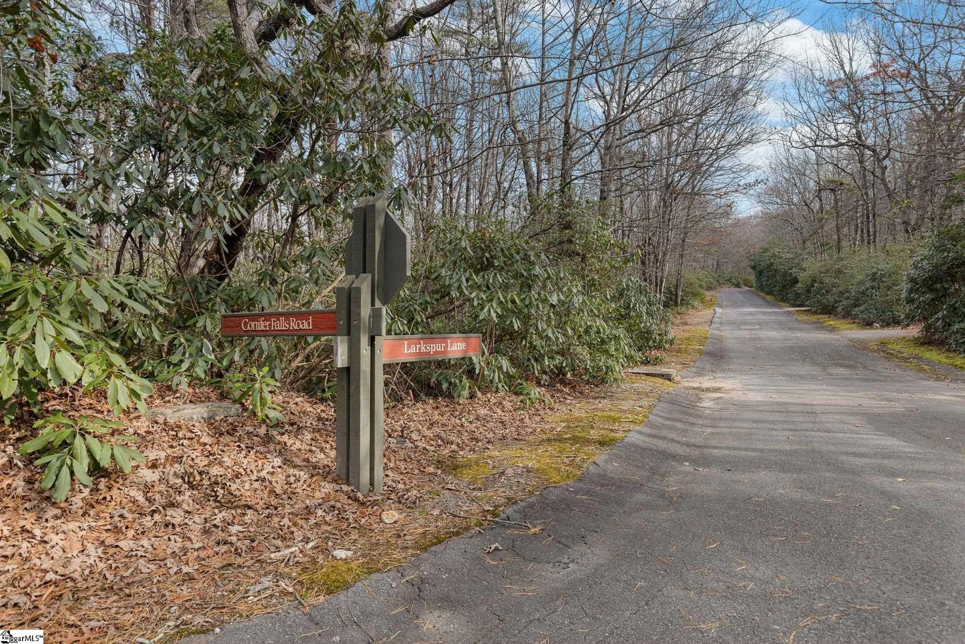 Property image 2 at 00 Conifer Falls Road, Cleveland, SC 29635
