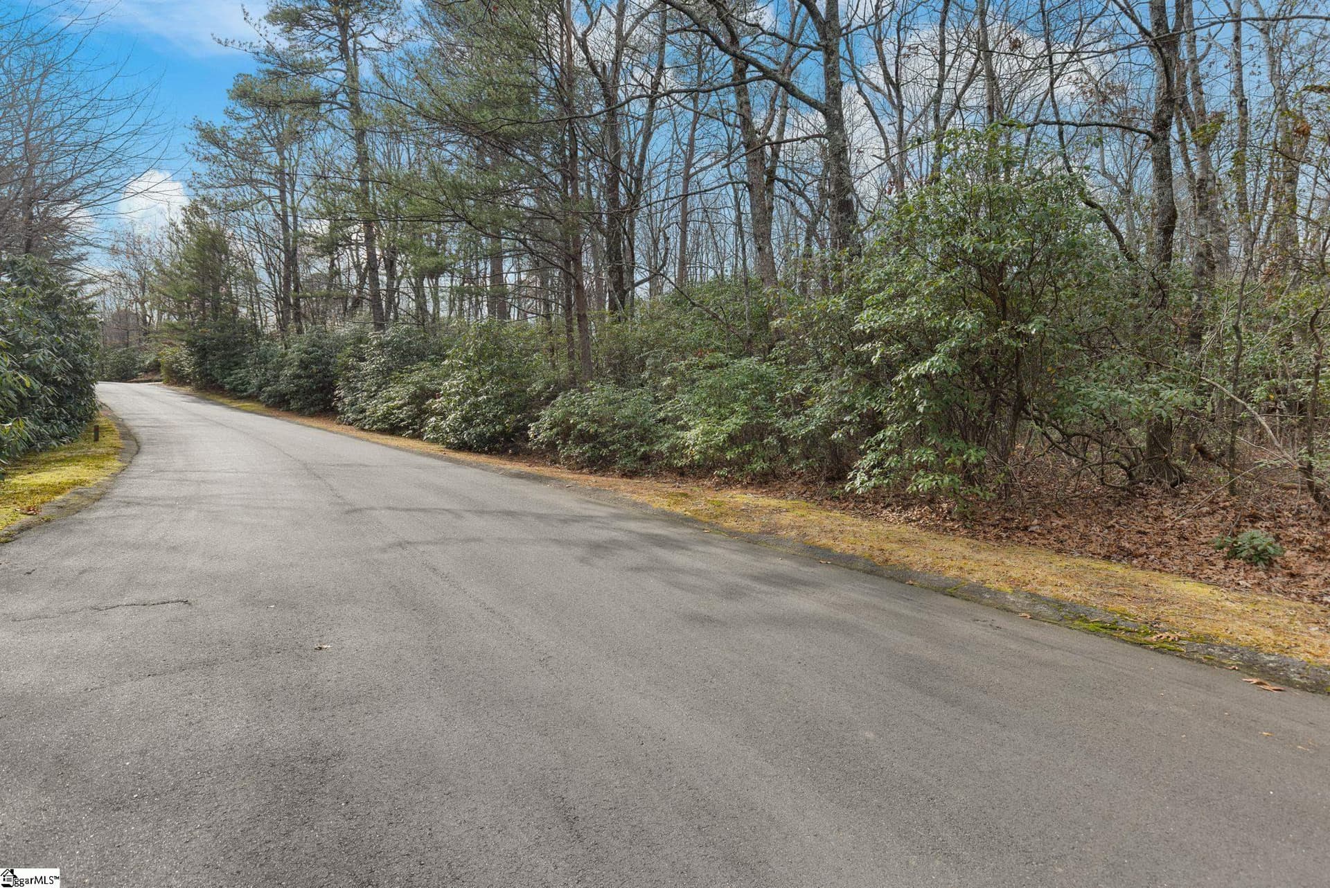 Property image 3 at 00 Conifer Falls Road, Cleveland, SC 29635