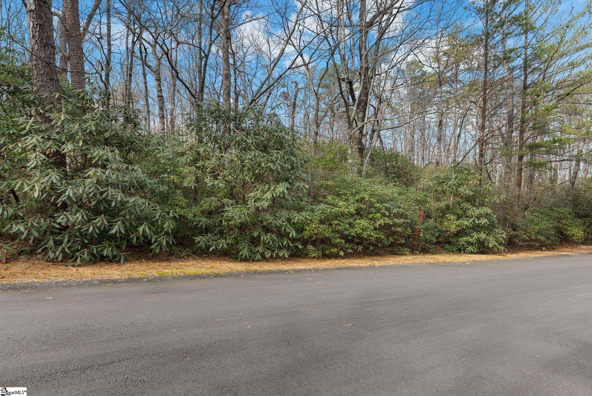 Property image 4 at 00 Conifer Falls Road, Cleveland, SC 29635