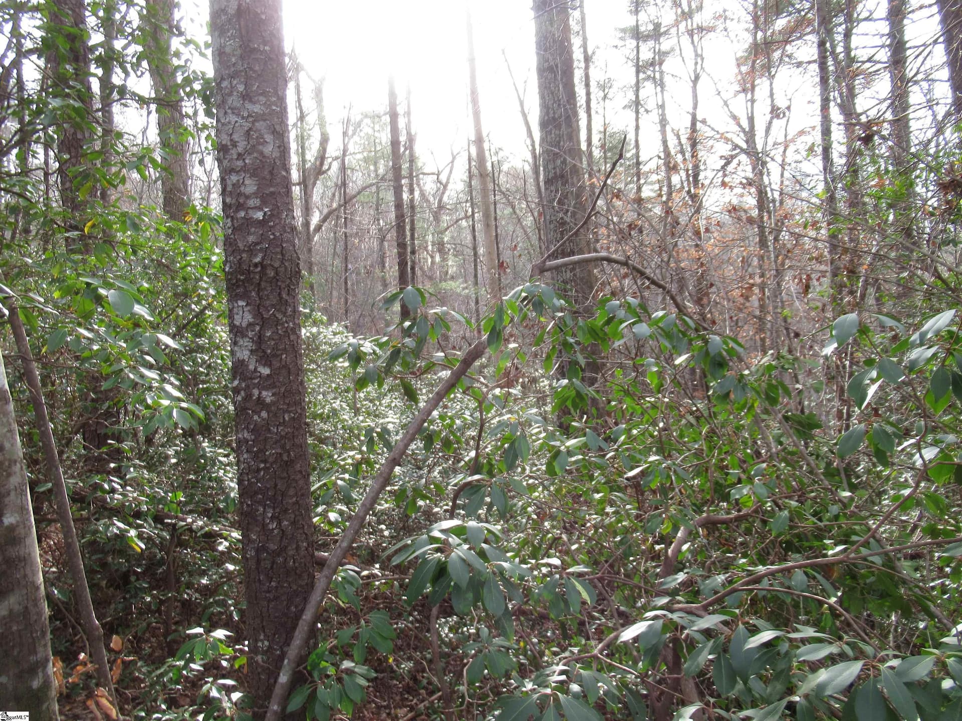 Property image 3 at 213 Falcon Crest Way, Pickens, SC 29671
