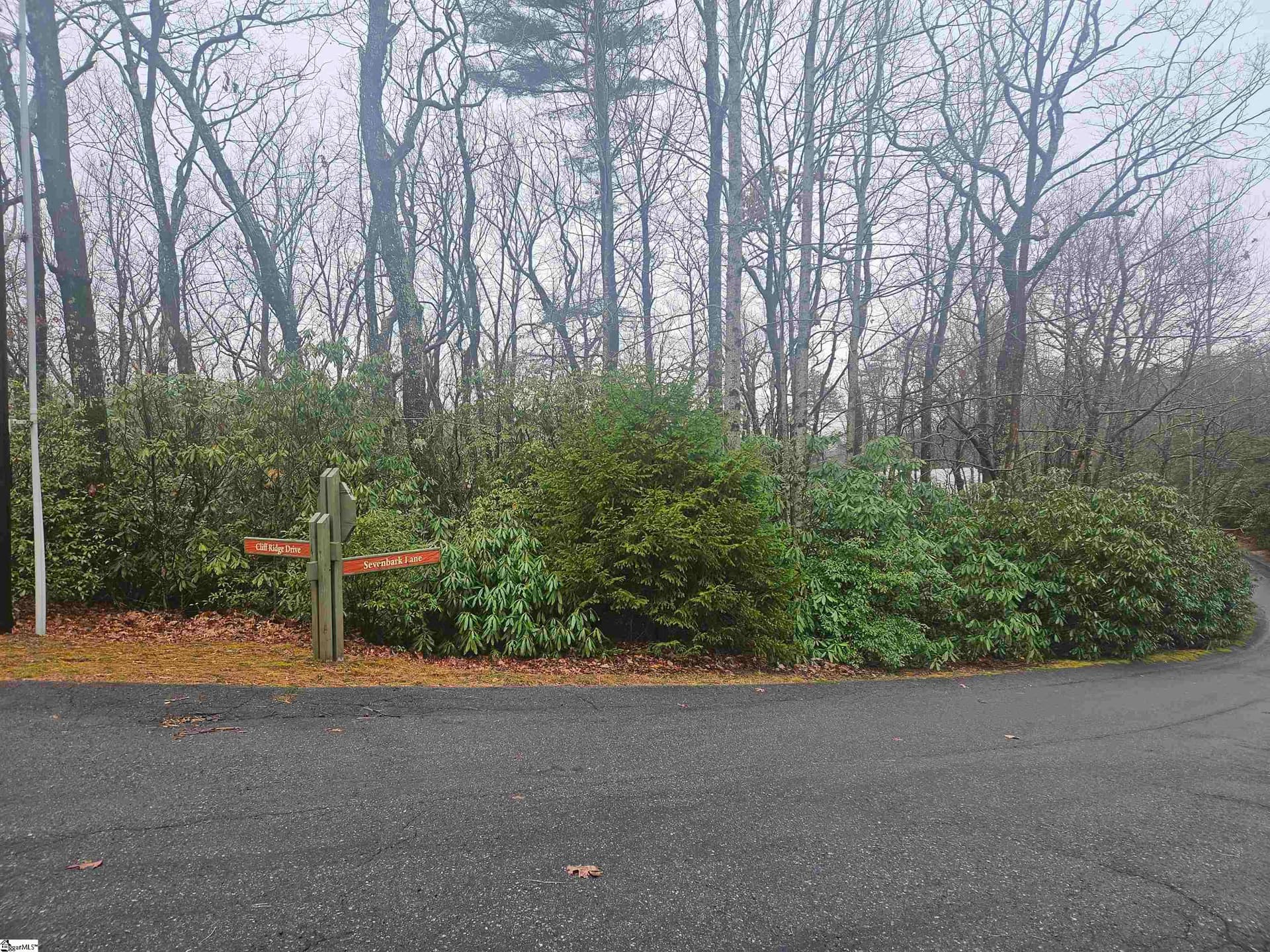 113 Cliff Ridge Drive