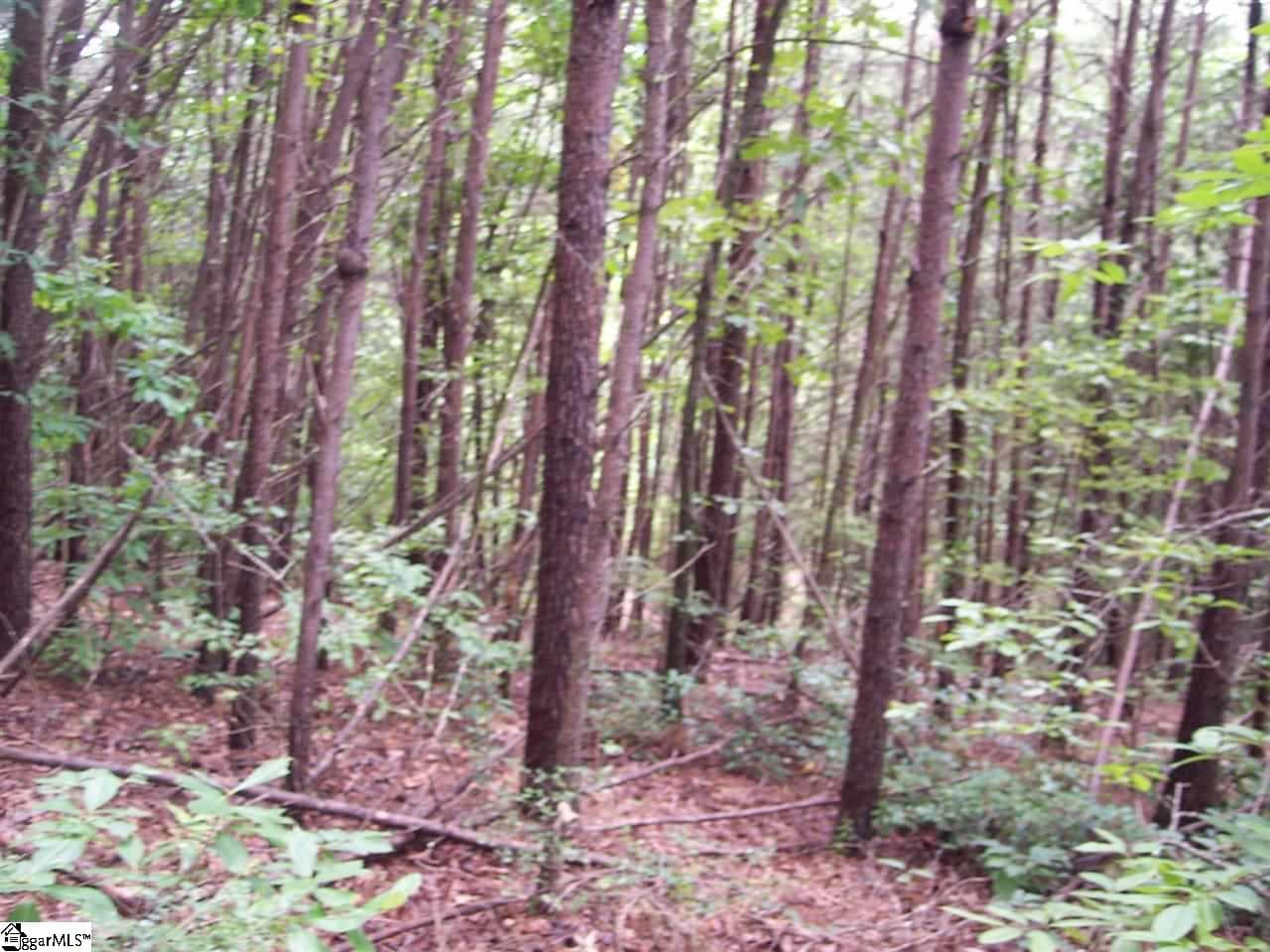 343 Gauley Falls Road