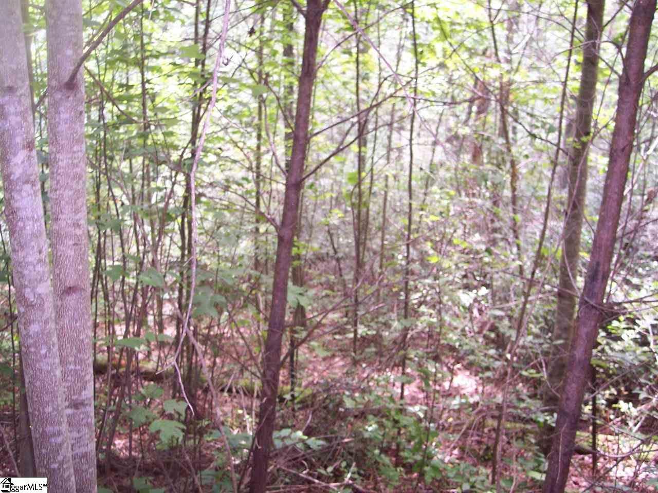 Property image 2 at 343 Gauley Falls Road, Pickens, SC 29671