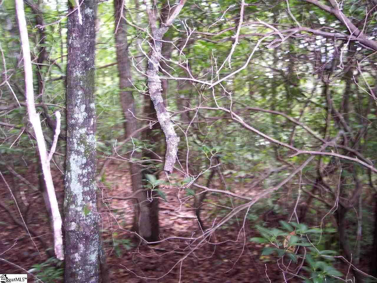 Property image 3 at 343 Gauley Falls Road, Pickens, SC 29671