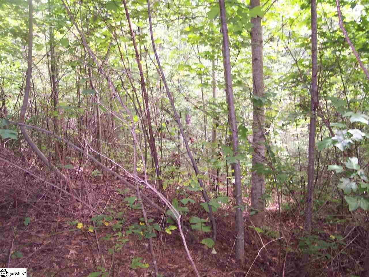 Property image 4 at 343 Gauley Falls Road, Pickens, SC 29671