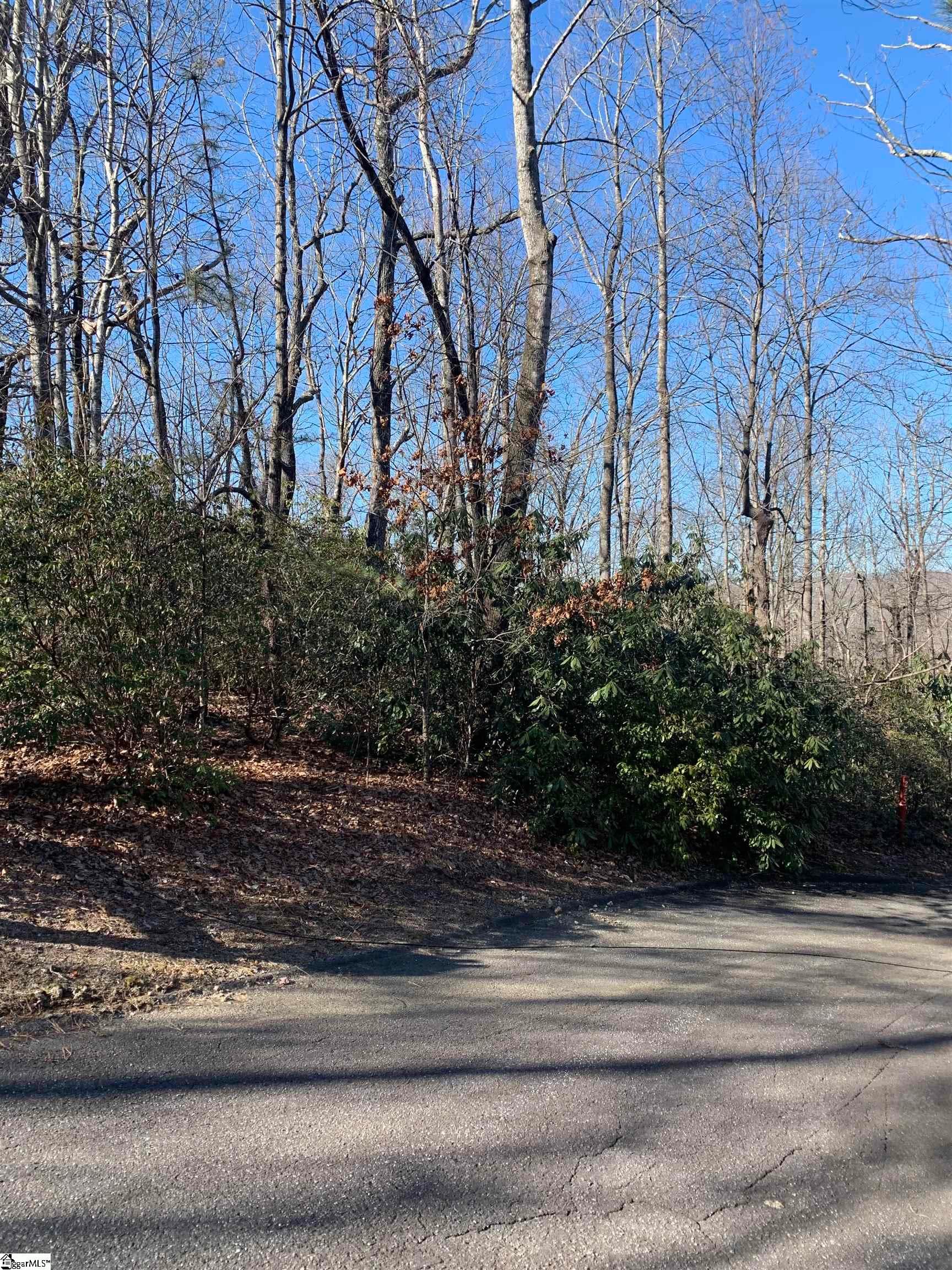 Property image 2 at 000 Cliff Ridge Drive, Cleveland, SC 29635