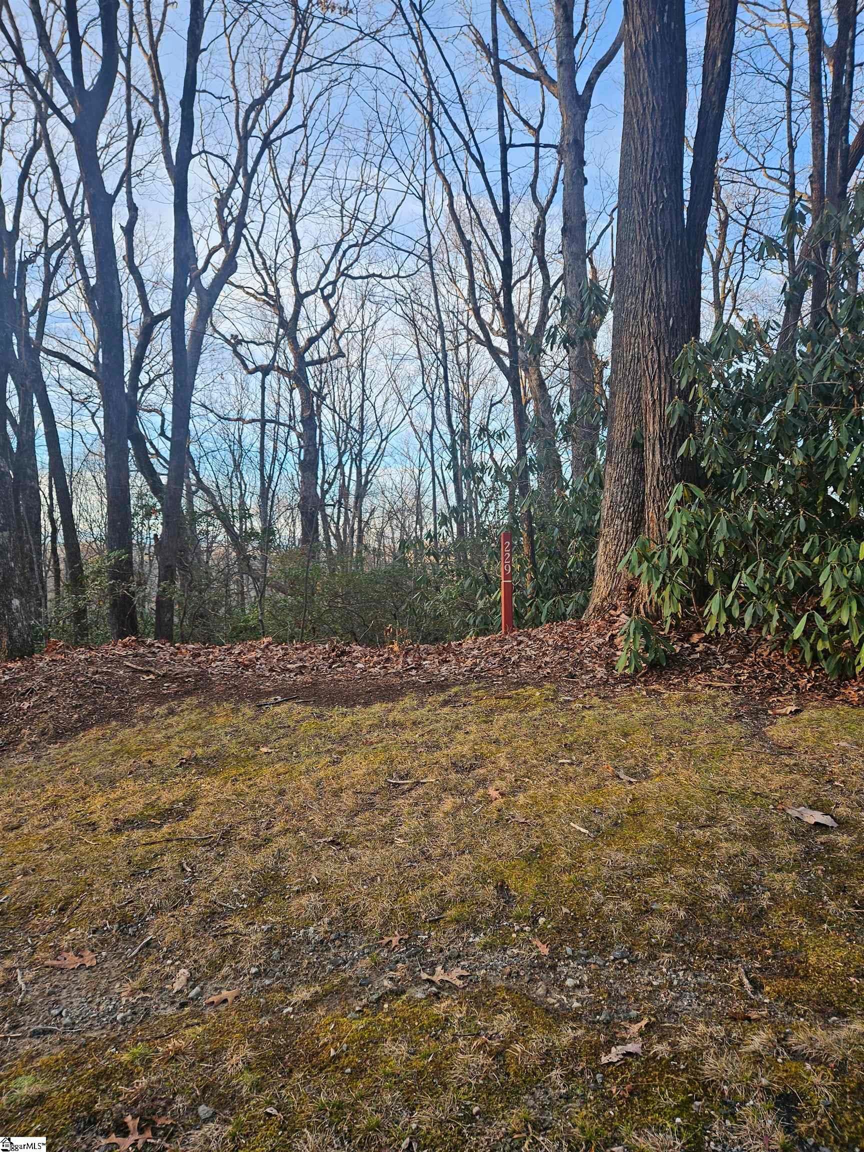 Property image 2 at 609 Cliff Ridge Drive, Cleveland, SC 29635