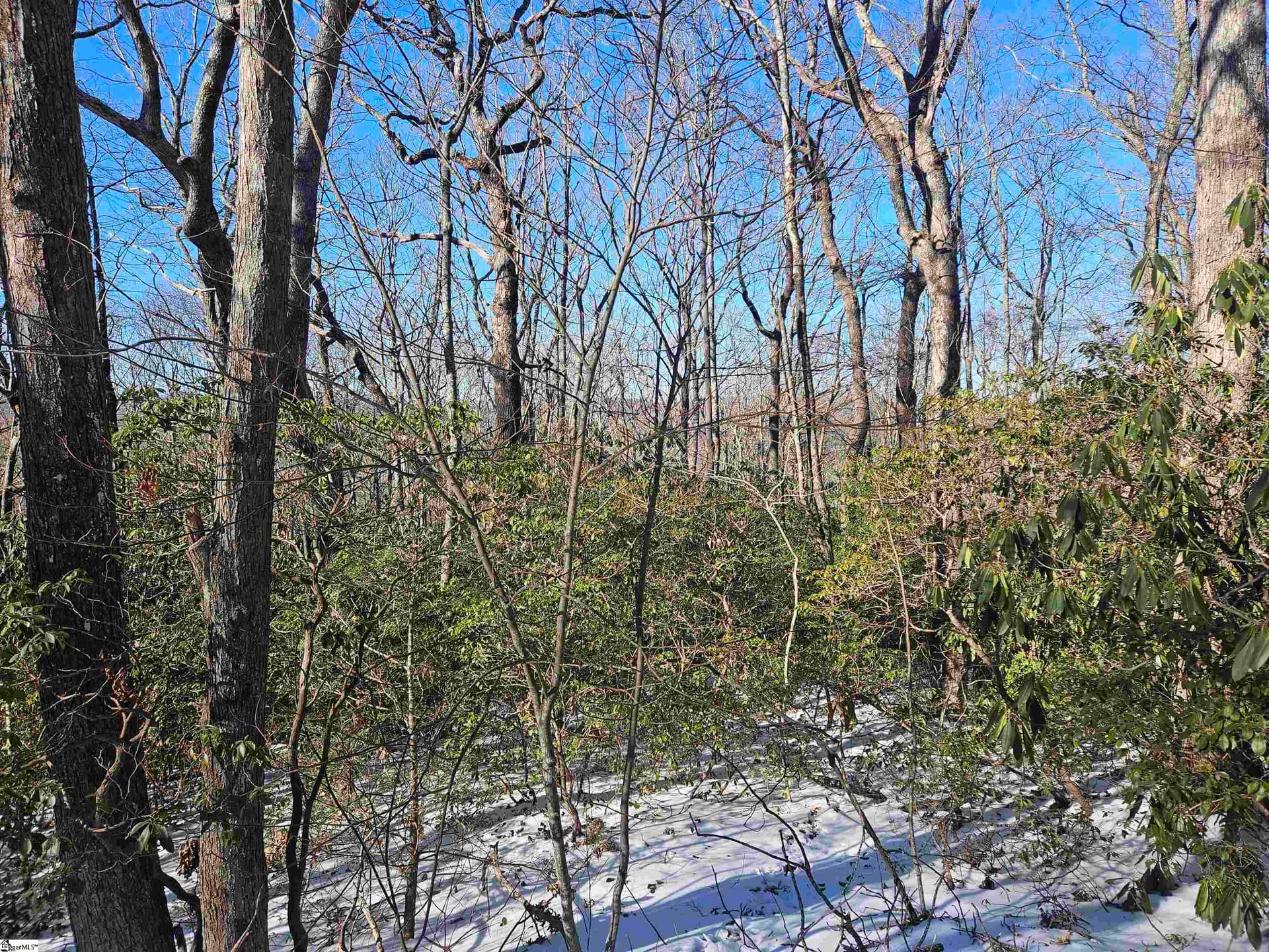 Property image 3 at 609 Cliff Ridge Drive, Cleveland, SC 29635