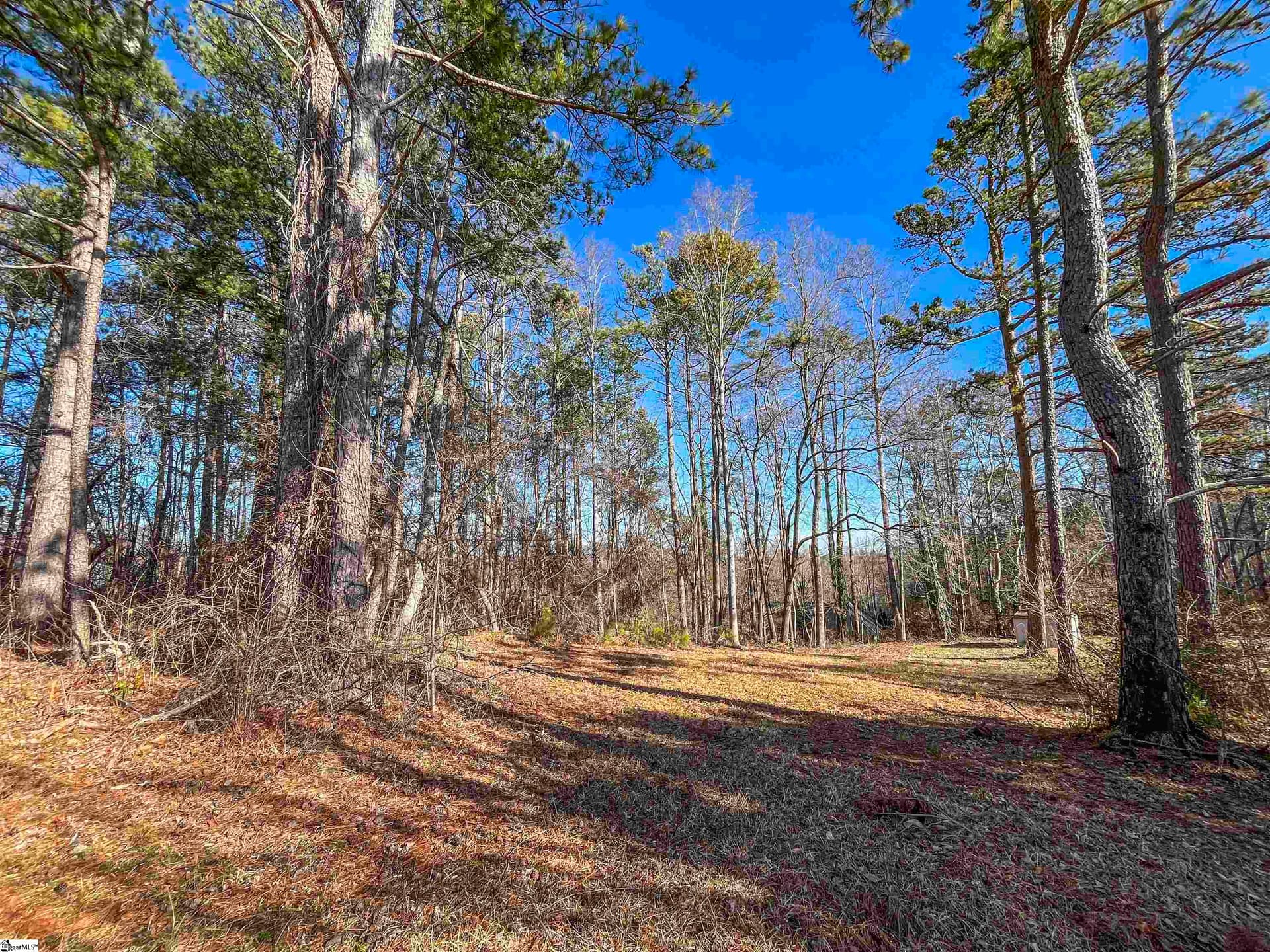 Property image 1 at 00 Friendship Drive, Pickens, SC 29671