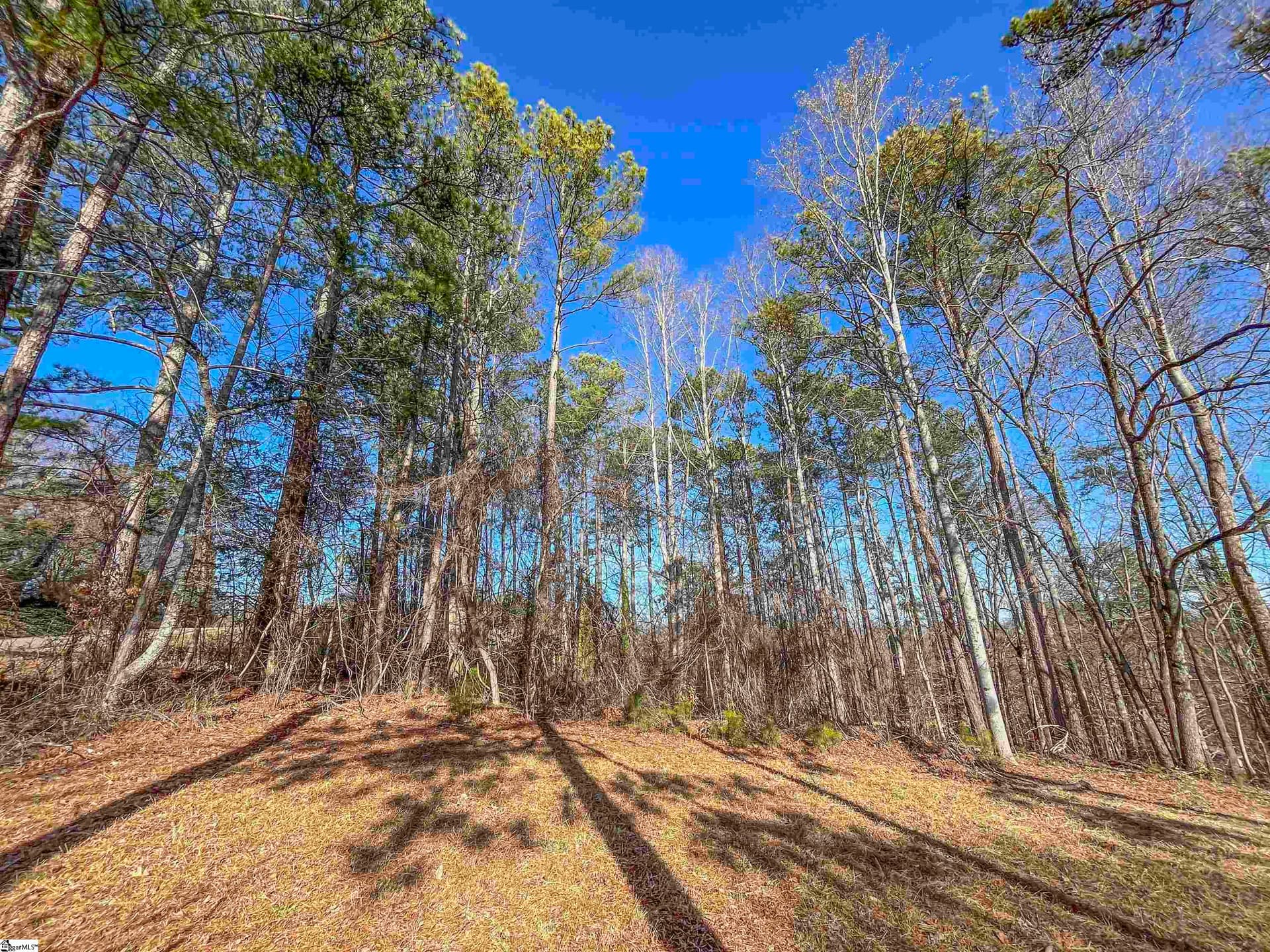 Property image 2 at 00 Friendship Drive, Pickens, SC 29671