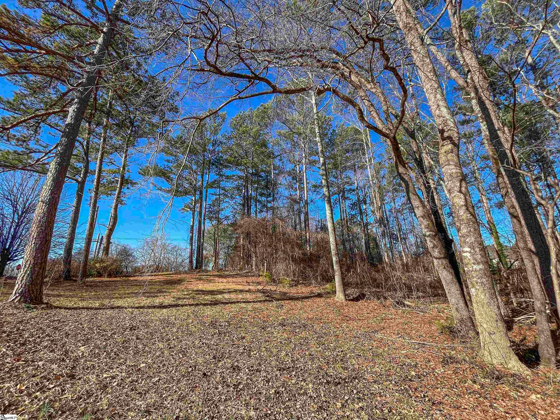 Property image 3 at 00 Friendship Drive, Pickens, SC 29671