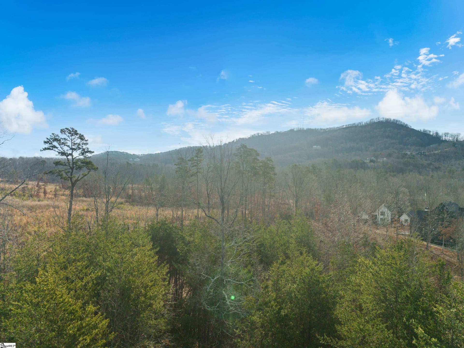 Property image 3 at 113 Pinelands Place, Travelers Rest, SC 29690