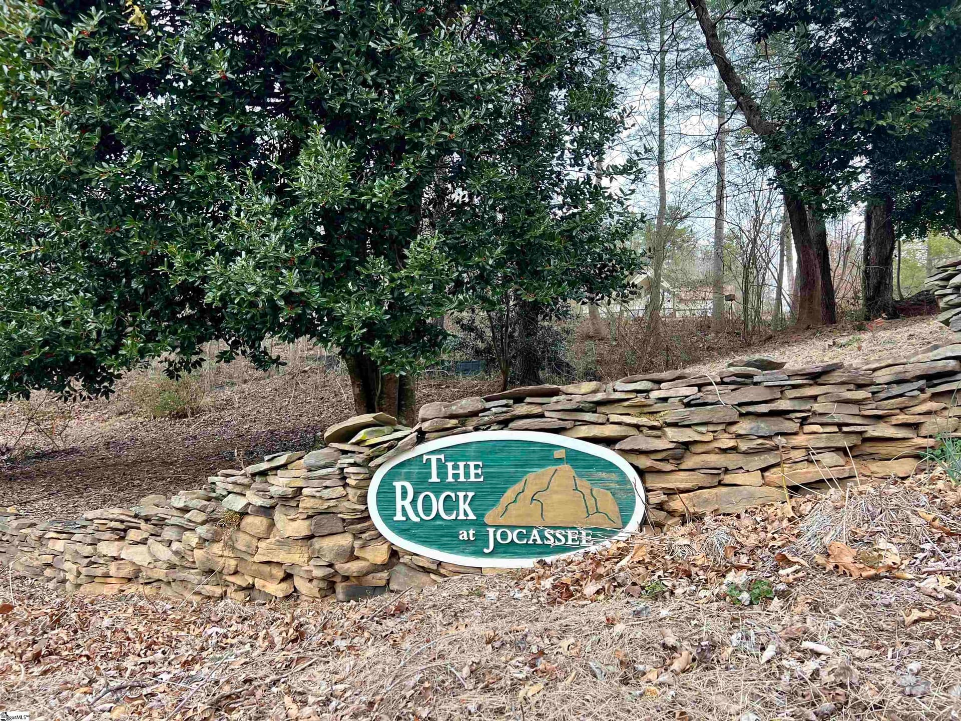 Property image 4 at 305 Falcon Crest Way, Pickens, SC 29671