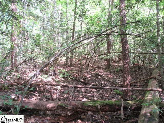 Property image 2 at 118 Hambys Way, Pickens, SC 29671