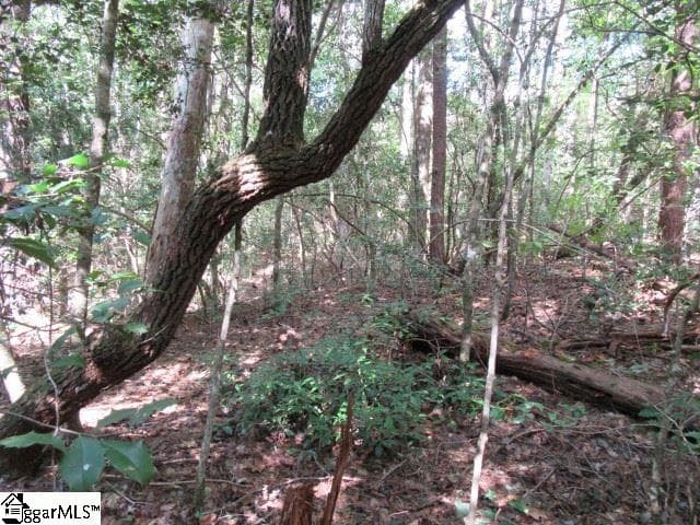 Property image 3 at 118 Hambys Way, Pickens, SC 29671